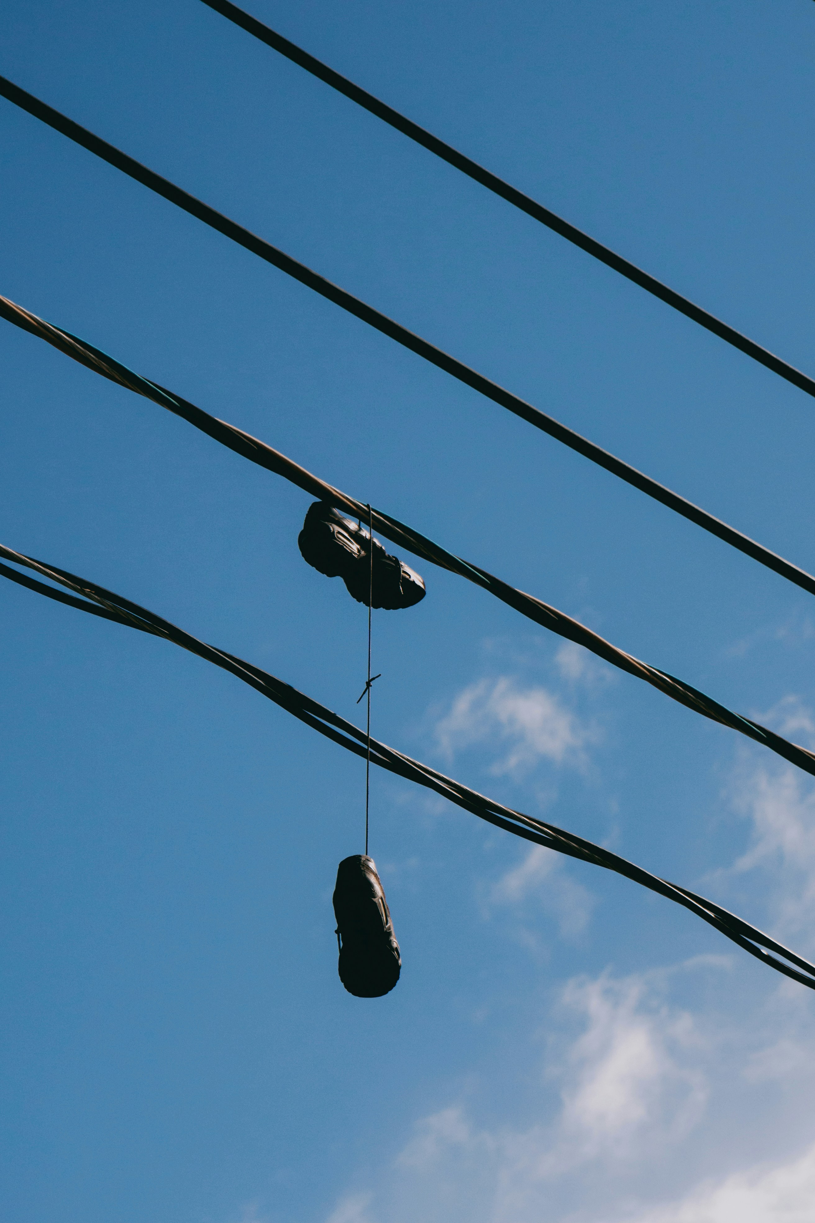 Photo by dougschneiders