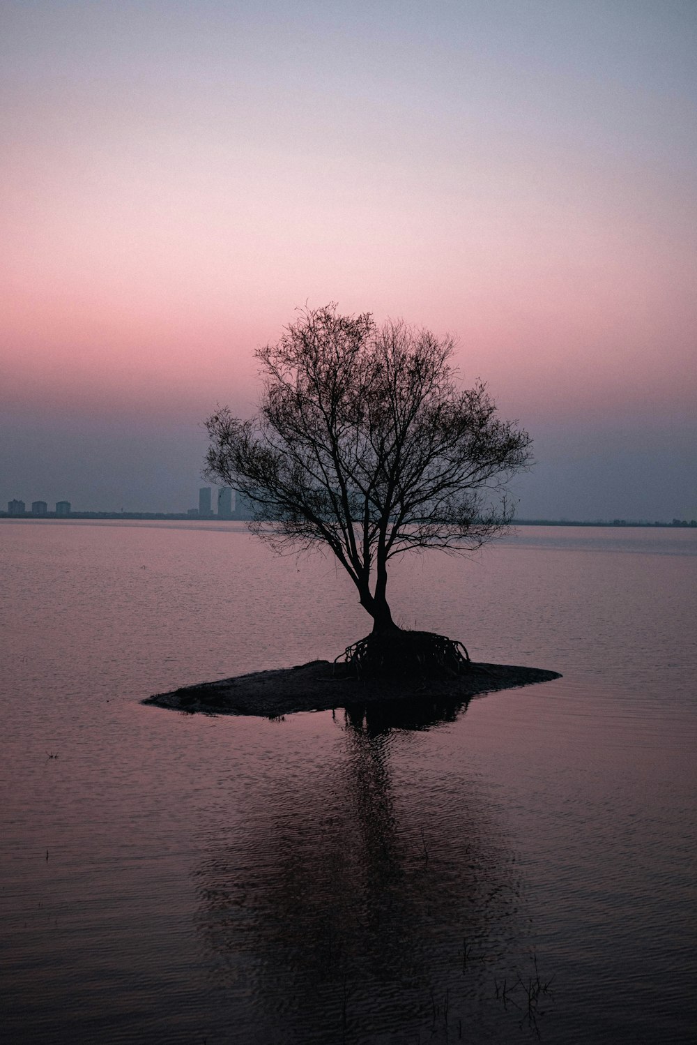 a lone tree sitting on a small island in the middle of a lake