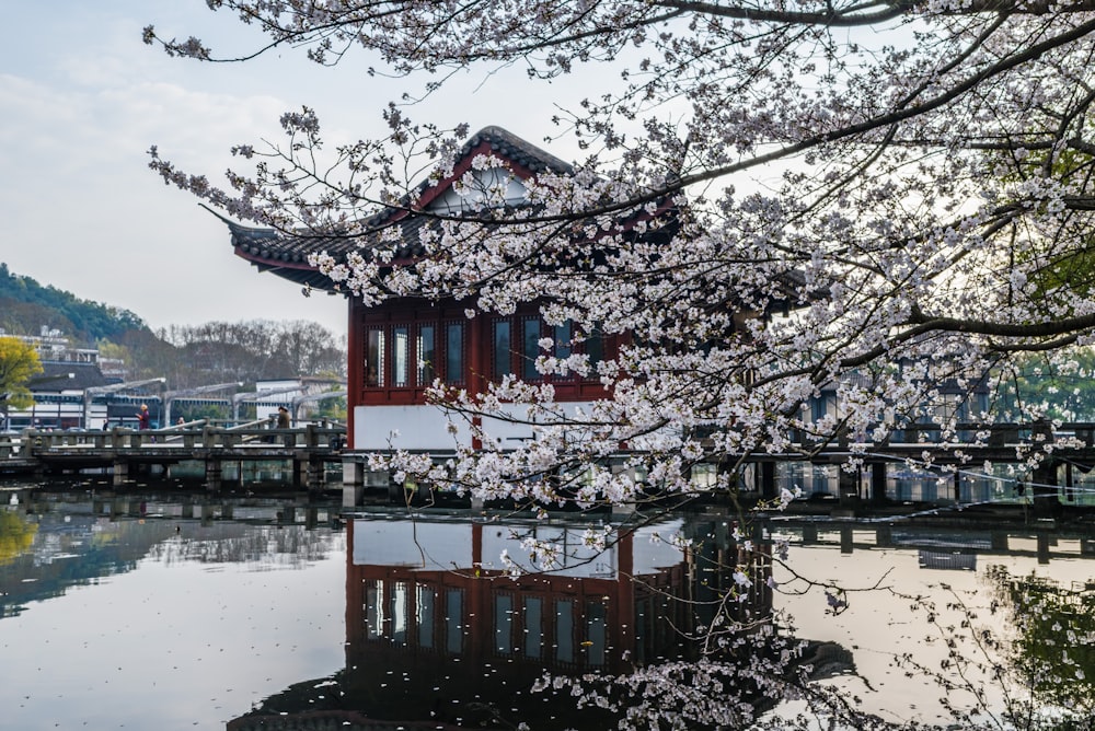 a building with cherry blossoms in front of a body of water