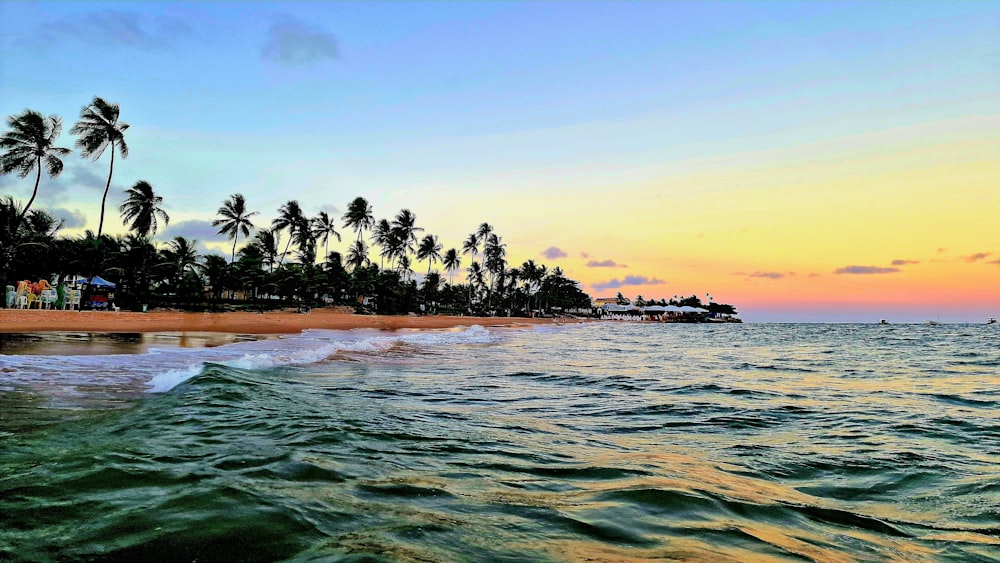 a beach with palm trees in the background