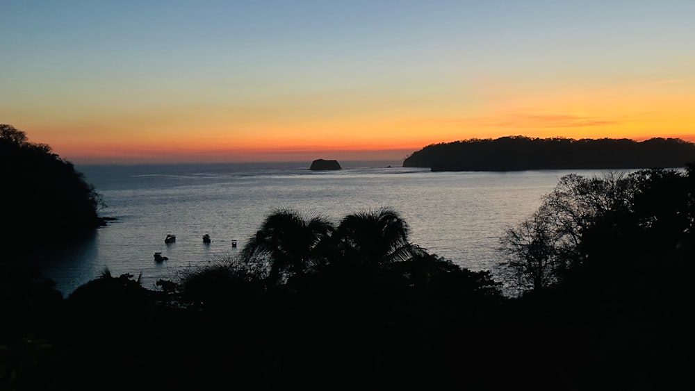 a sunset view of a body of water with trees in the foreground