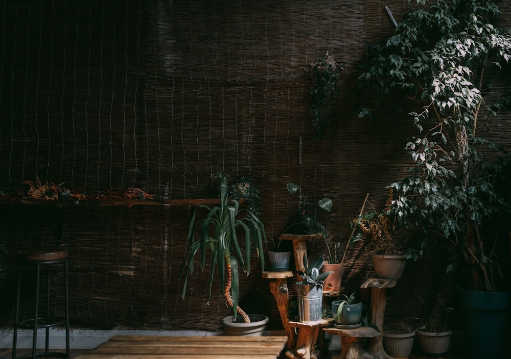 a room filled with lots of potted plants