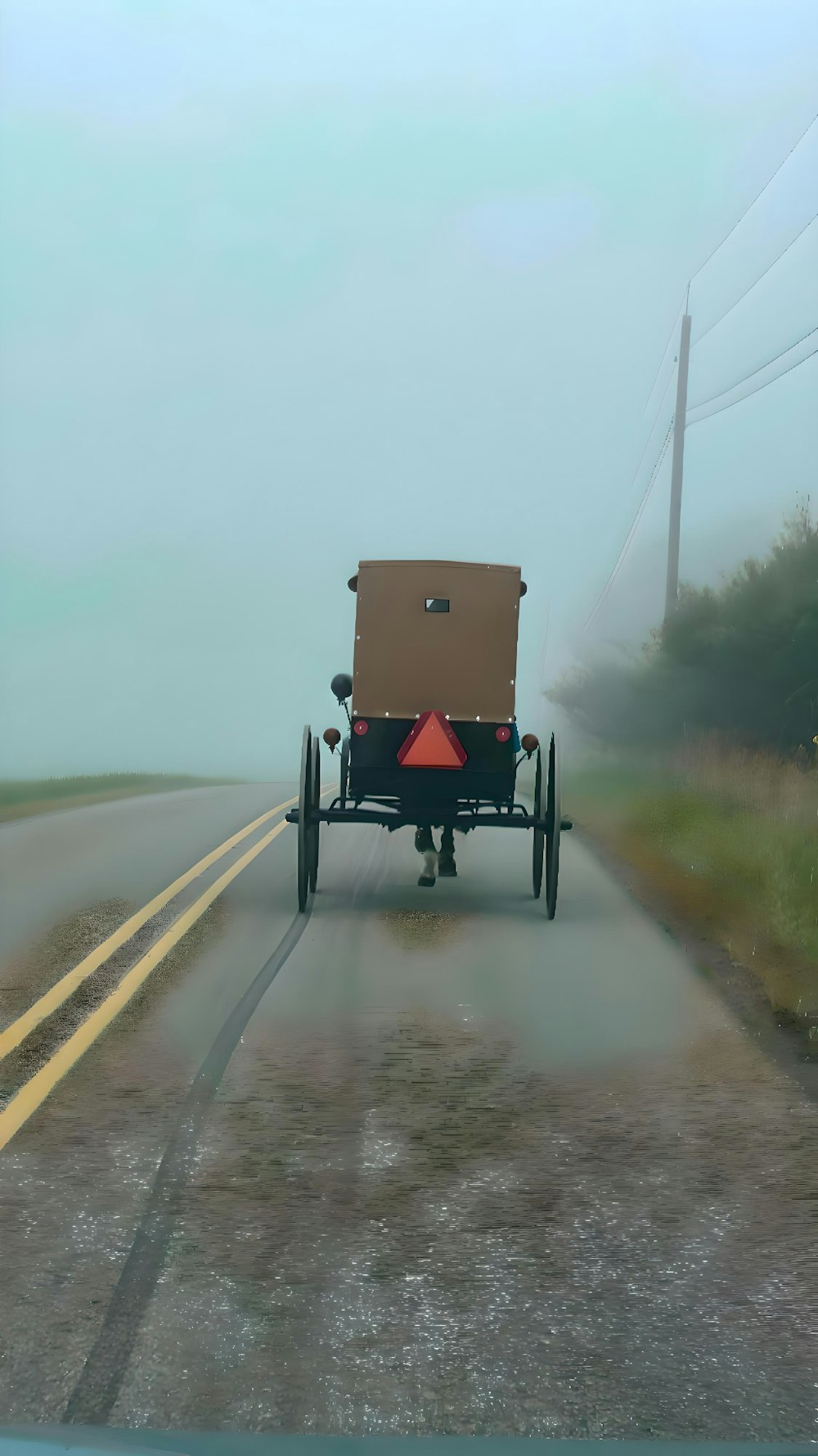 a horse drawn carriage traveling down a road