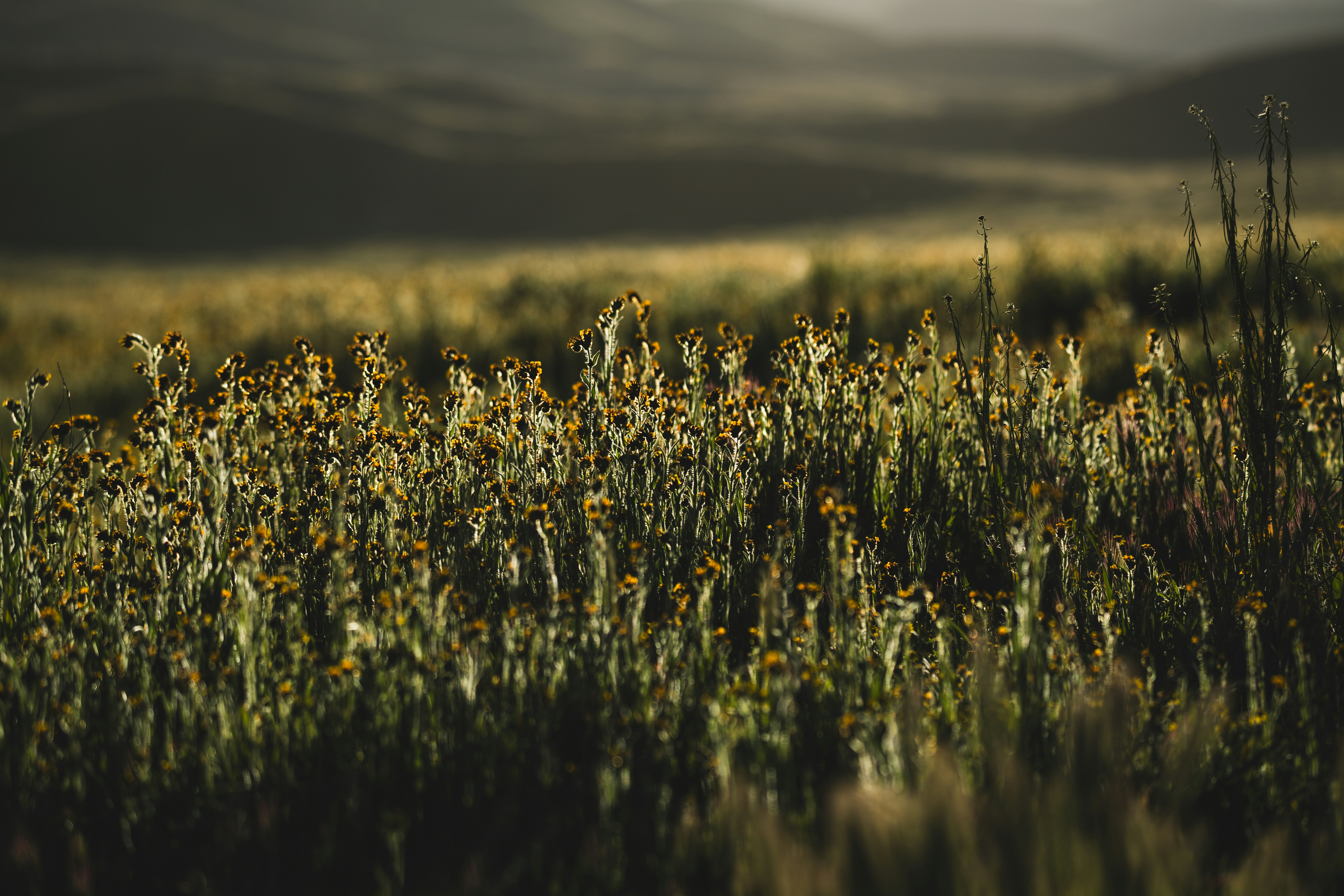 Photo by timmossholder