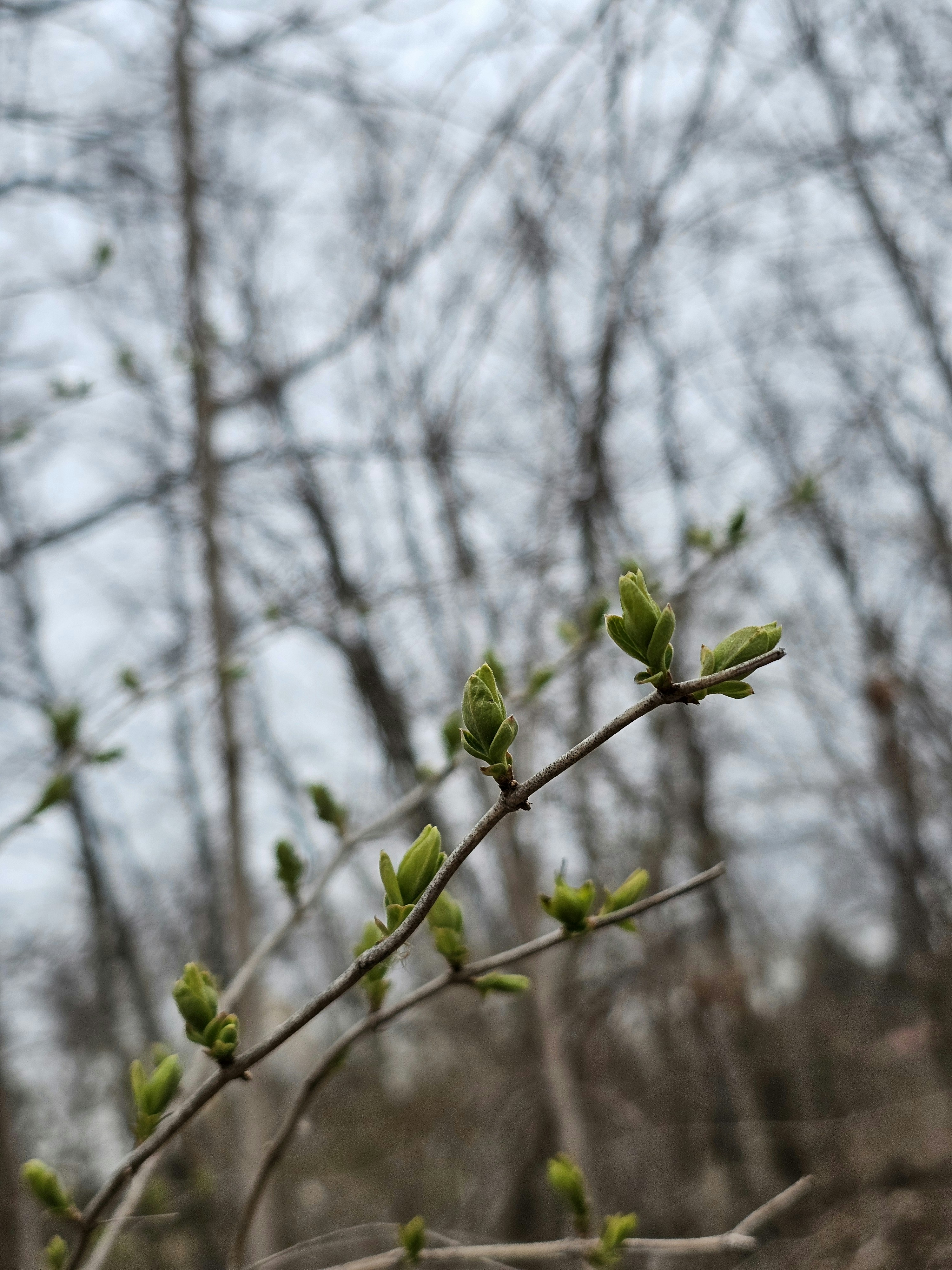 Photo by harjeetgill