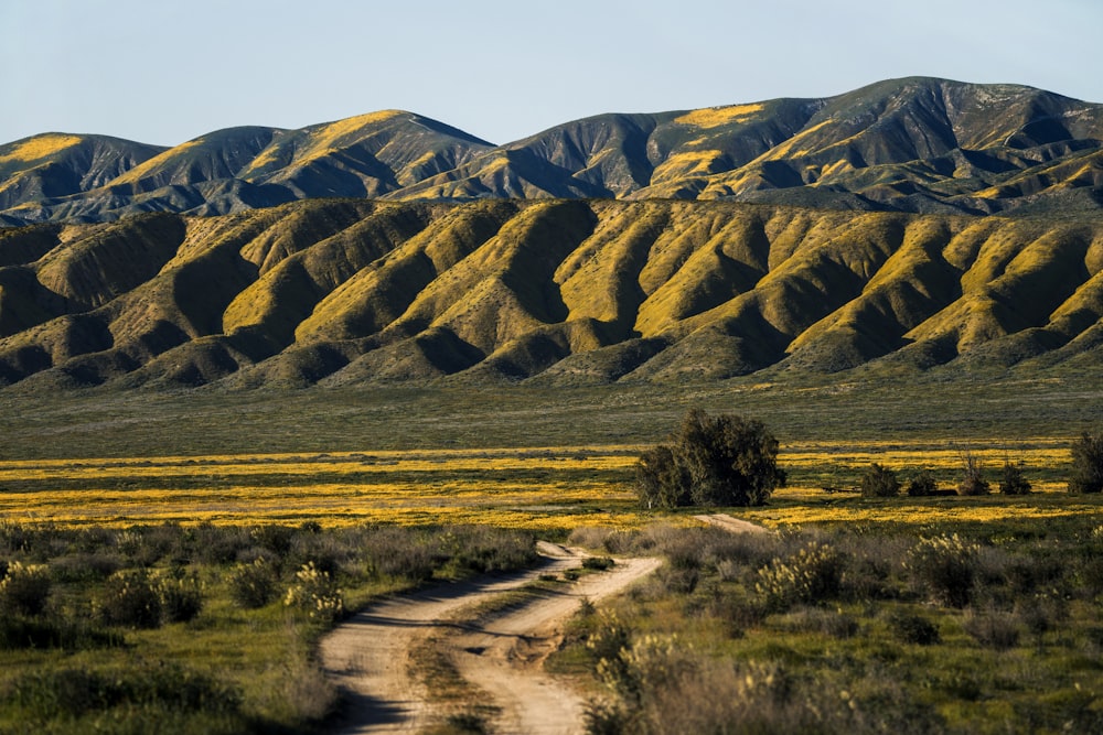 a dirt road in front of a mountain range