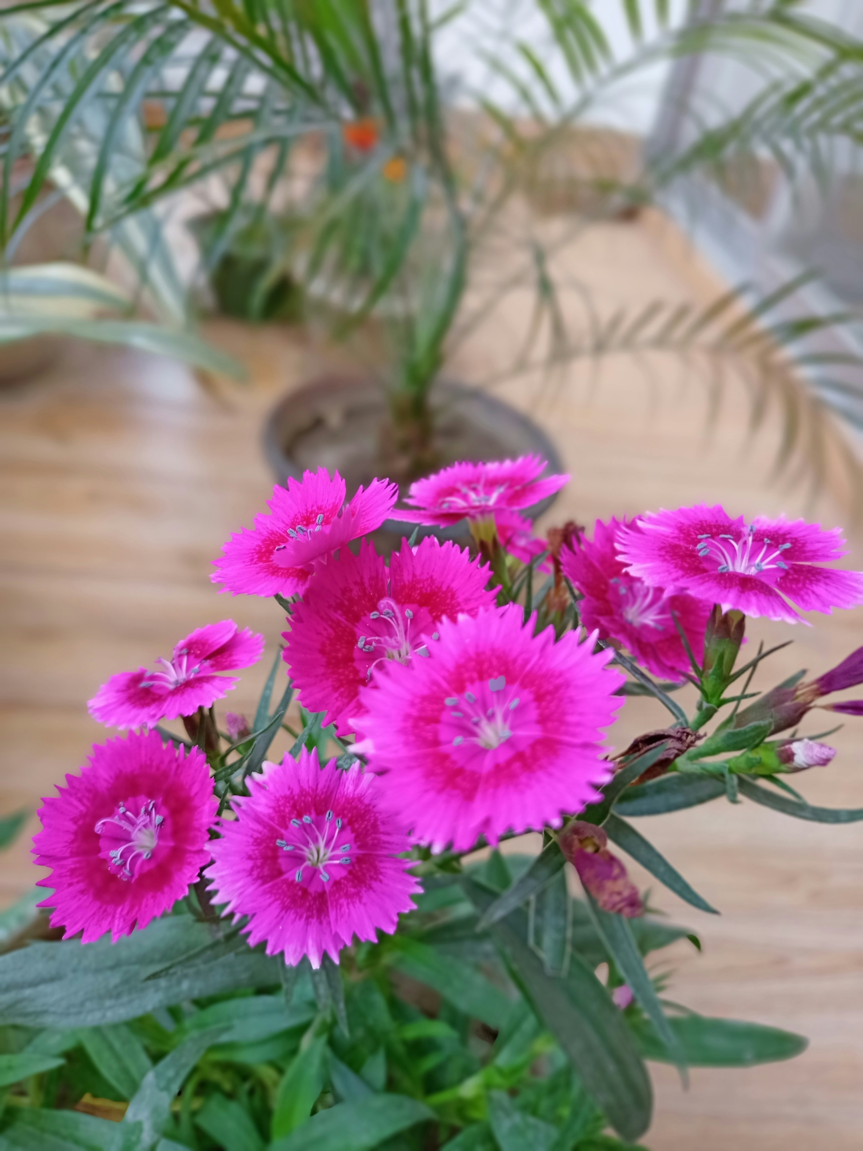 gray computer monitor