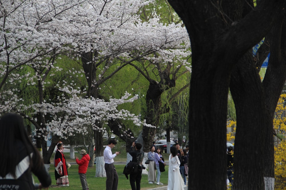 a group of people walking down a sidewalk next to trees