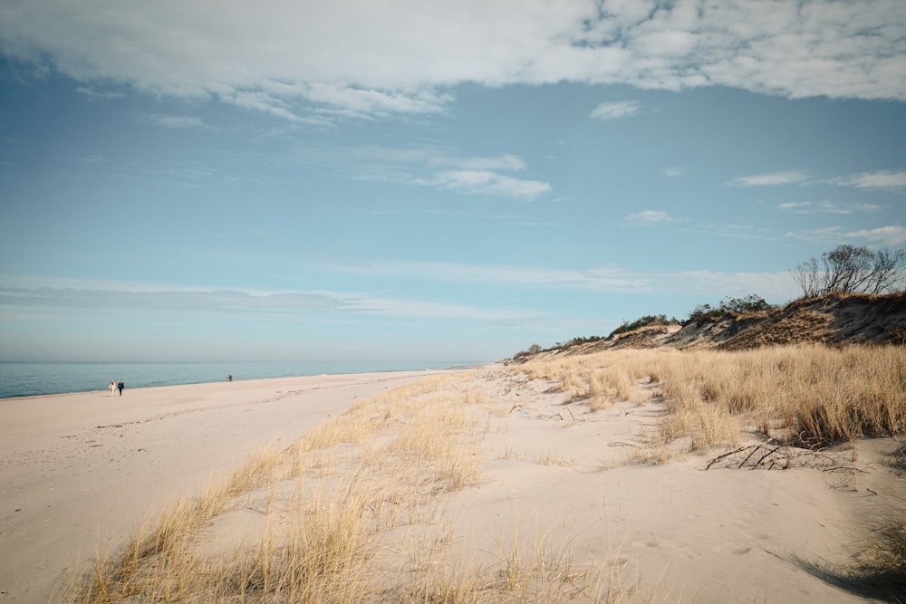 two people walking on a beach near the ocean