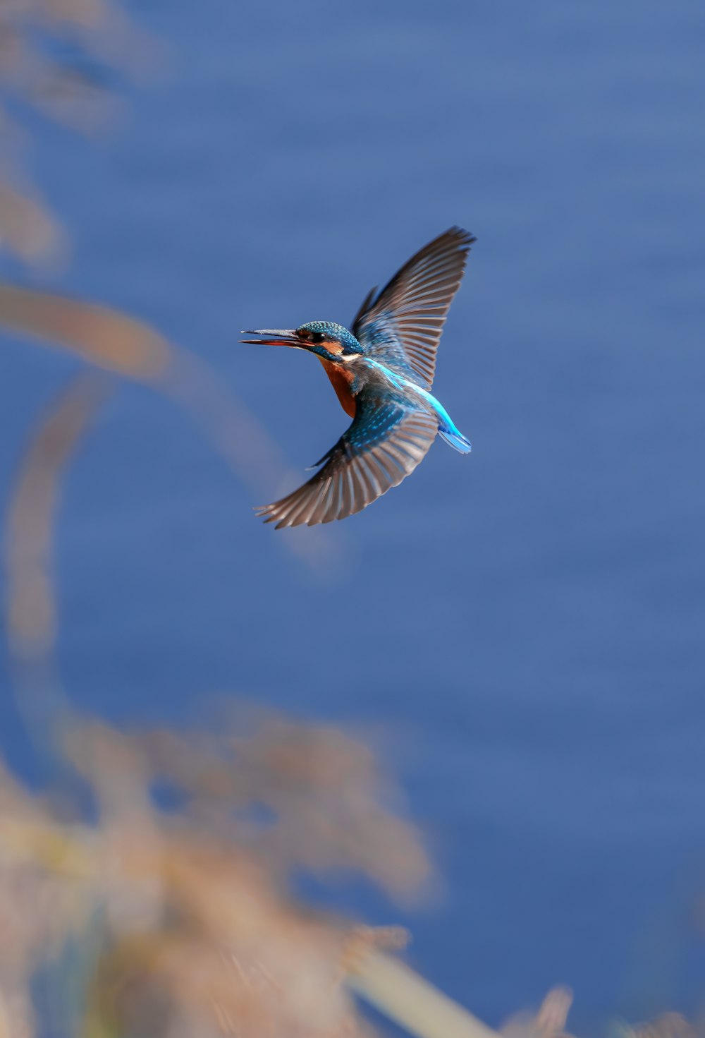 a small bird flying over a body of water