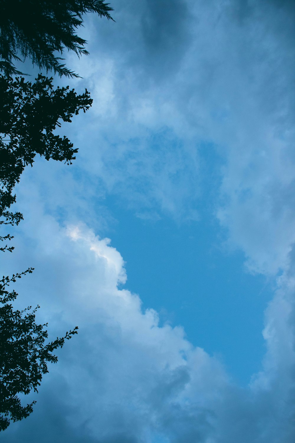 a blue sky with some clouds and trees