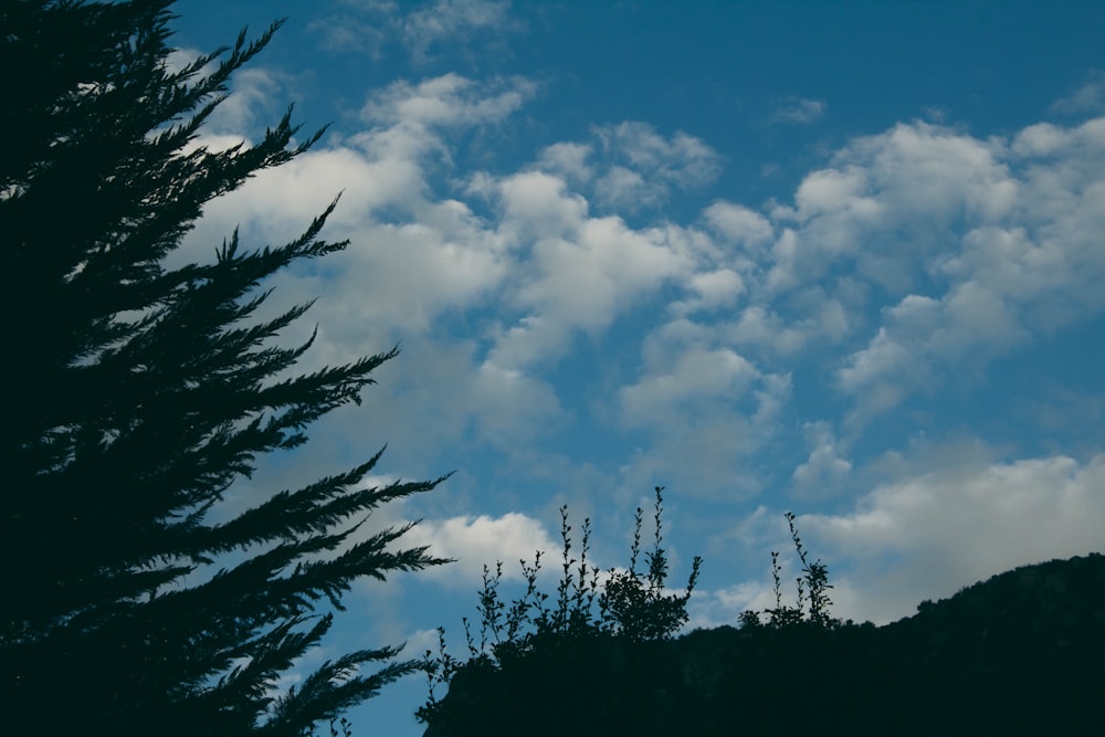 a blue sky with white clouds and some trees