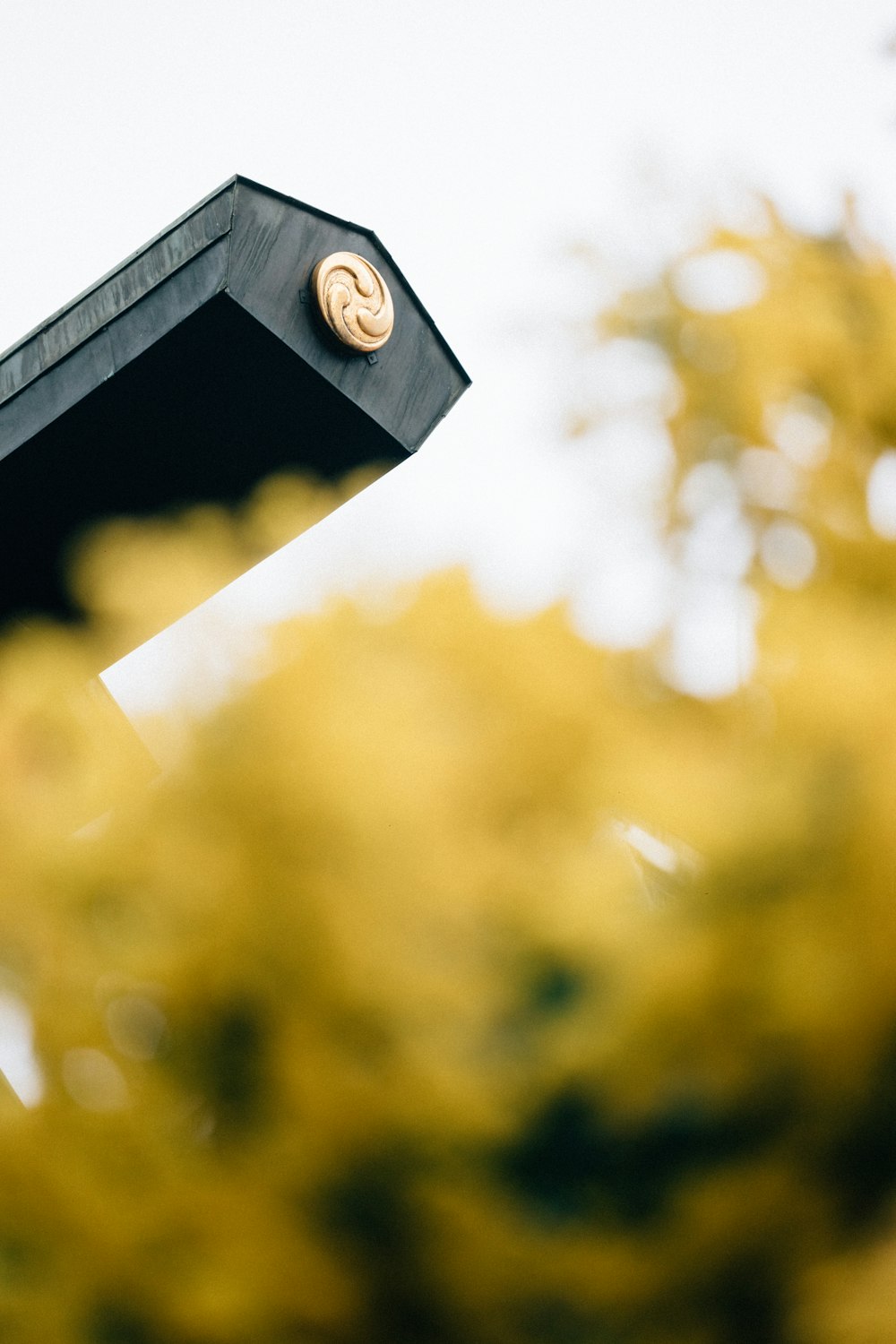 a close up of a street sign with trees in the background