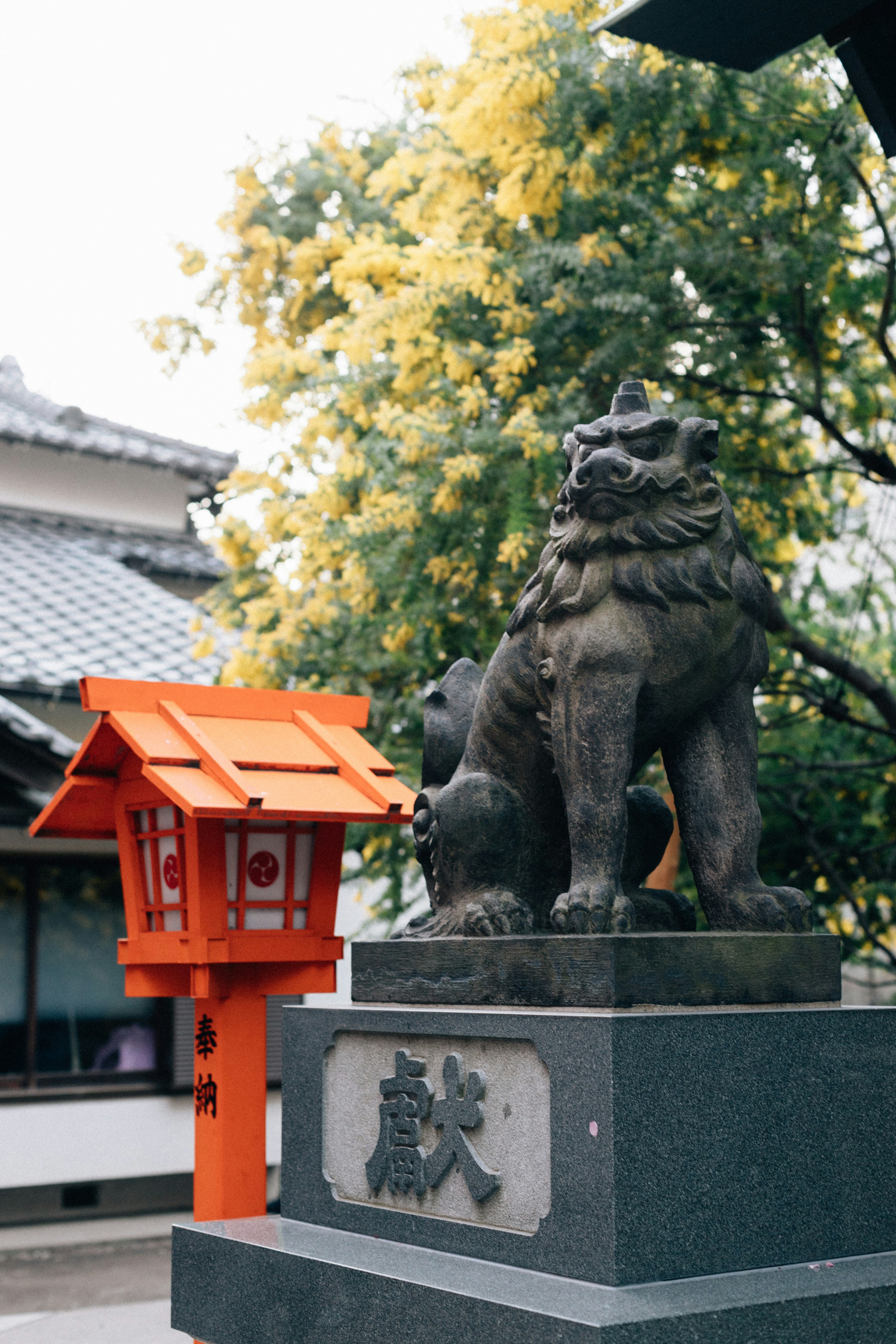 Photo by tsuyoshikozu