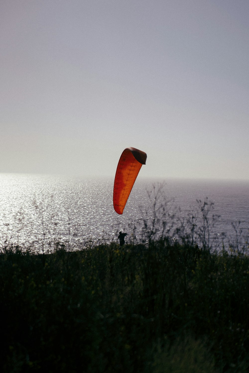 a person flying a kite on top of a hill near the ocean
