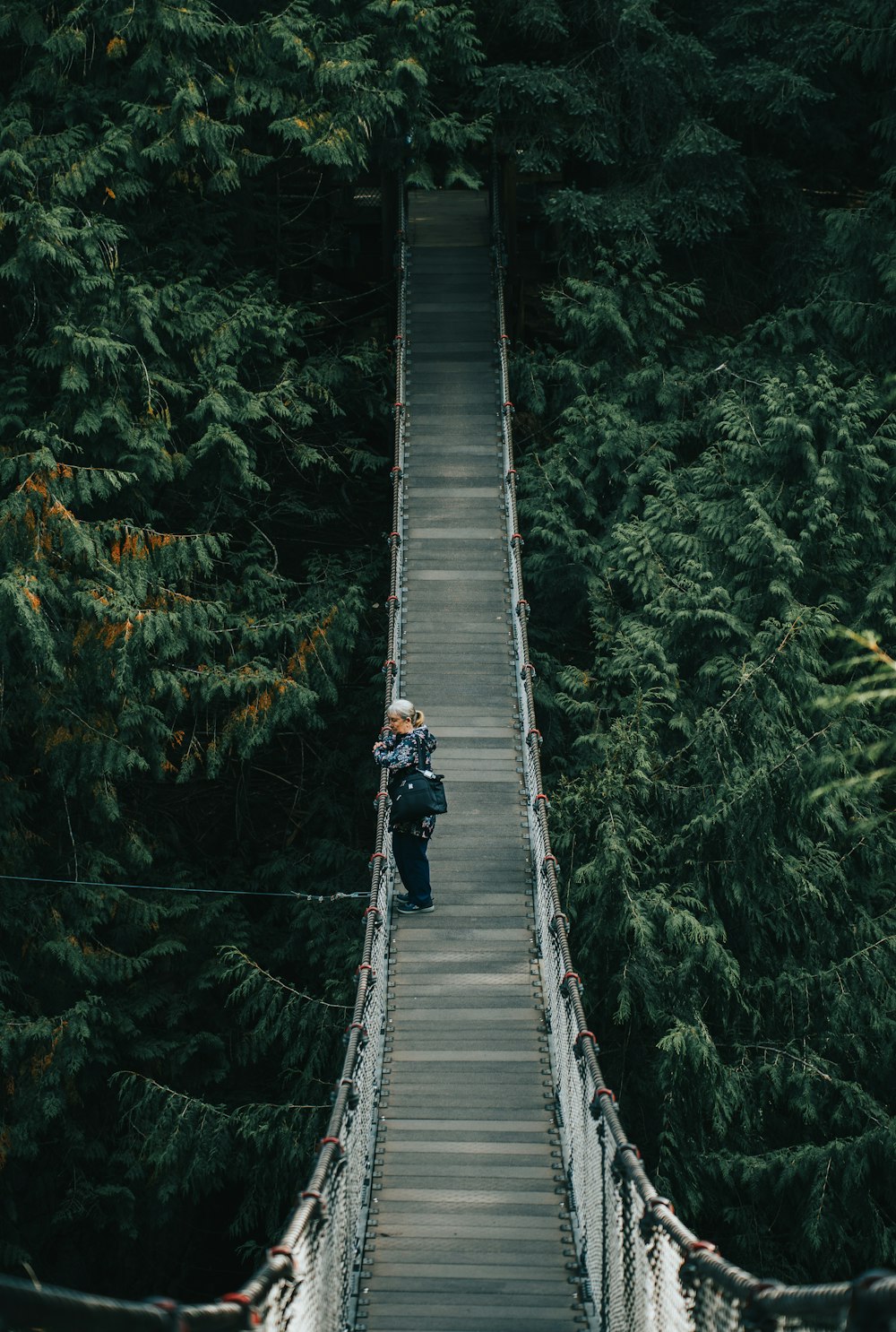 a person walking across a suspension bridge in a forest