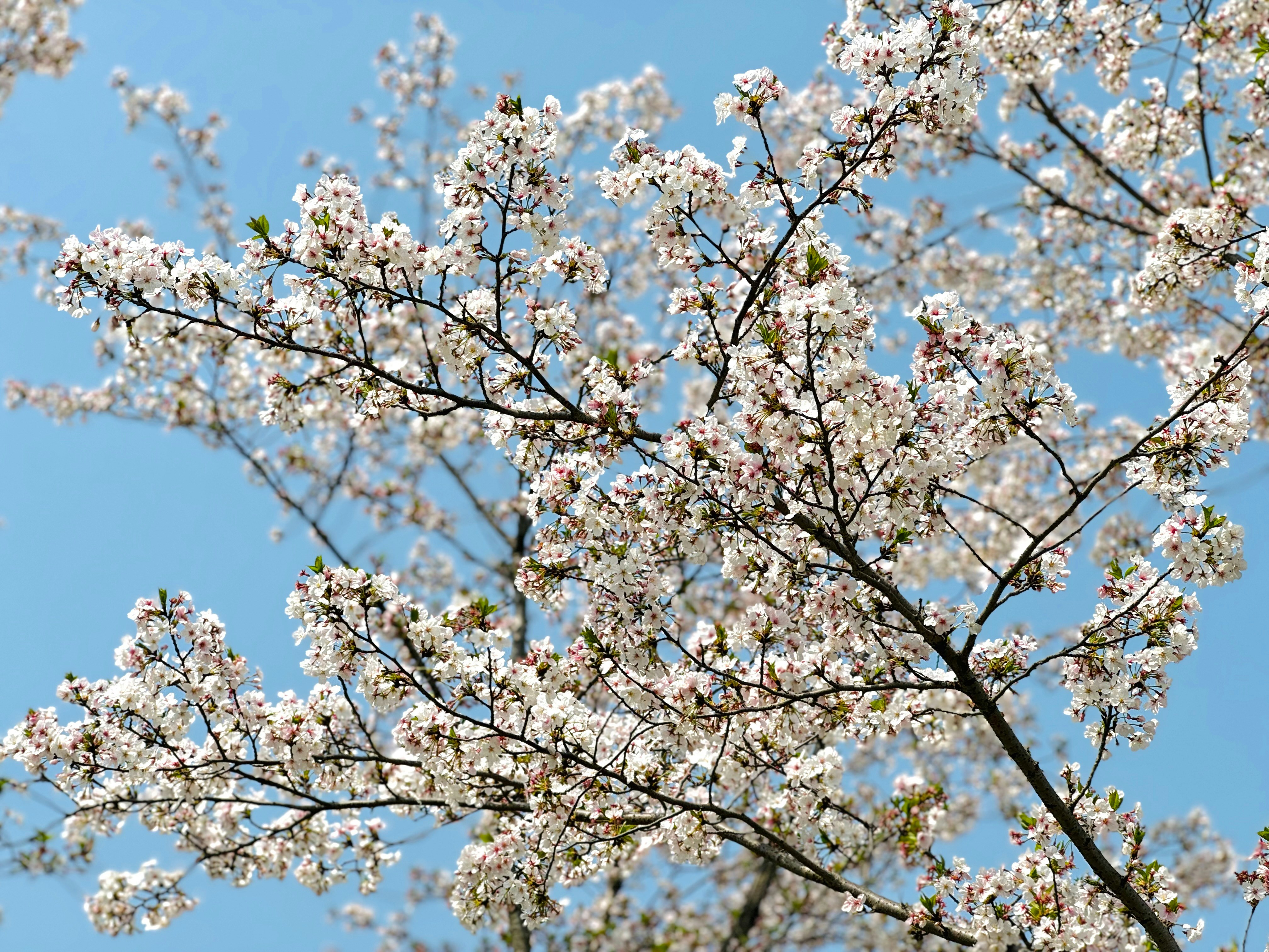 Photo by momo_momo_momo