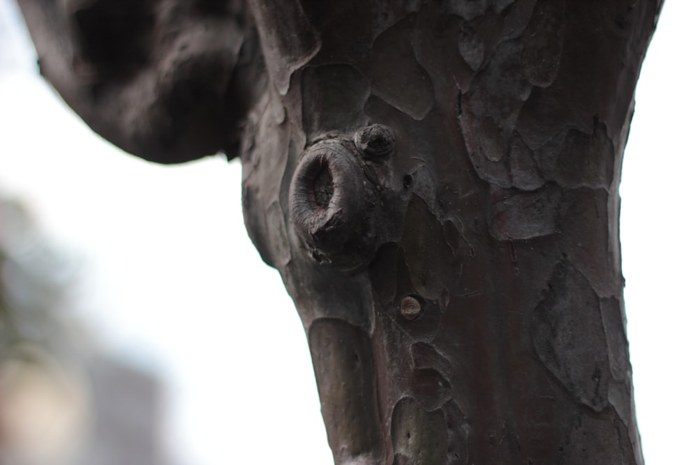 a close up of a statue of a bear on a tree