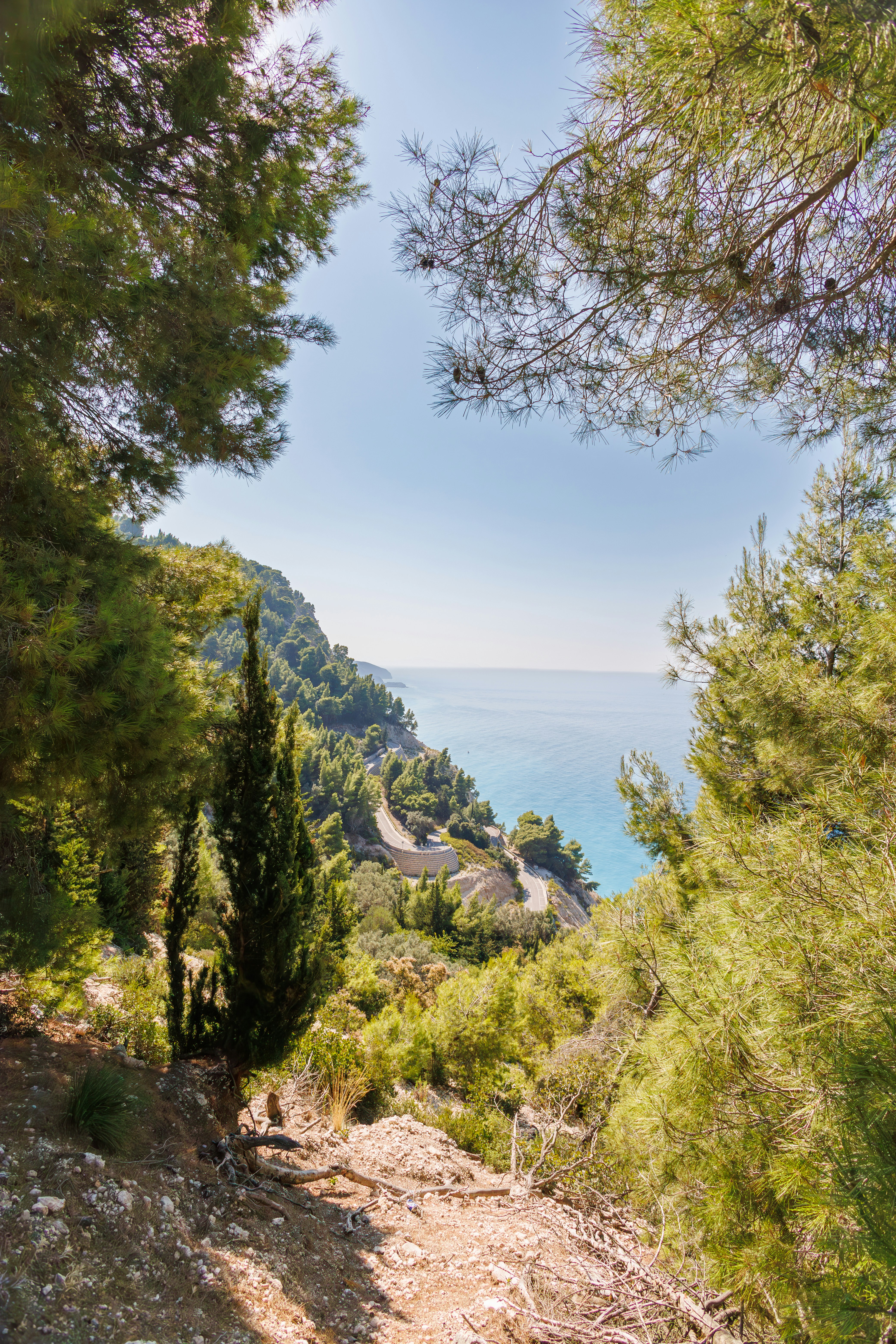 Photo by stockbirken