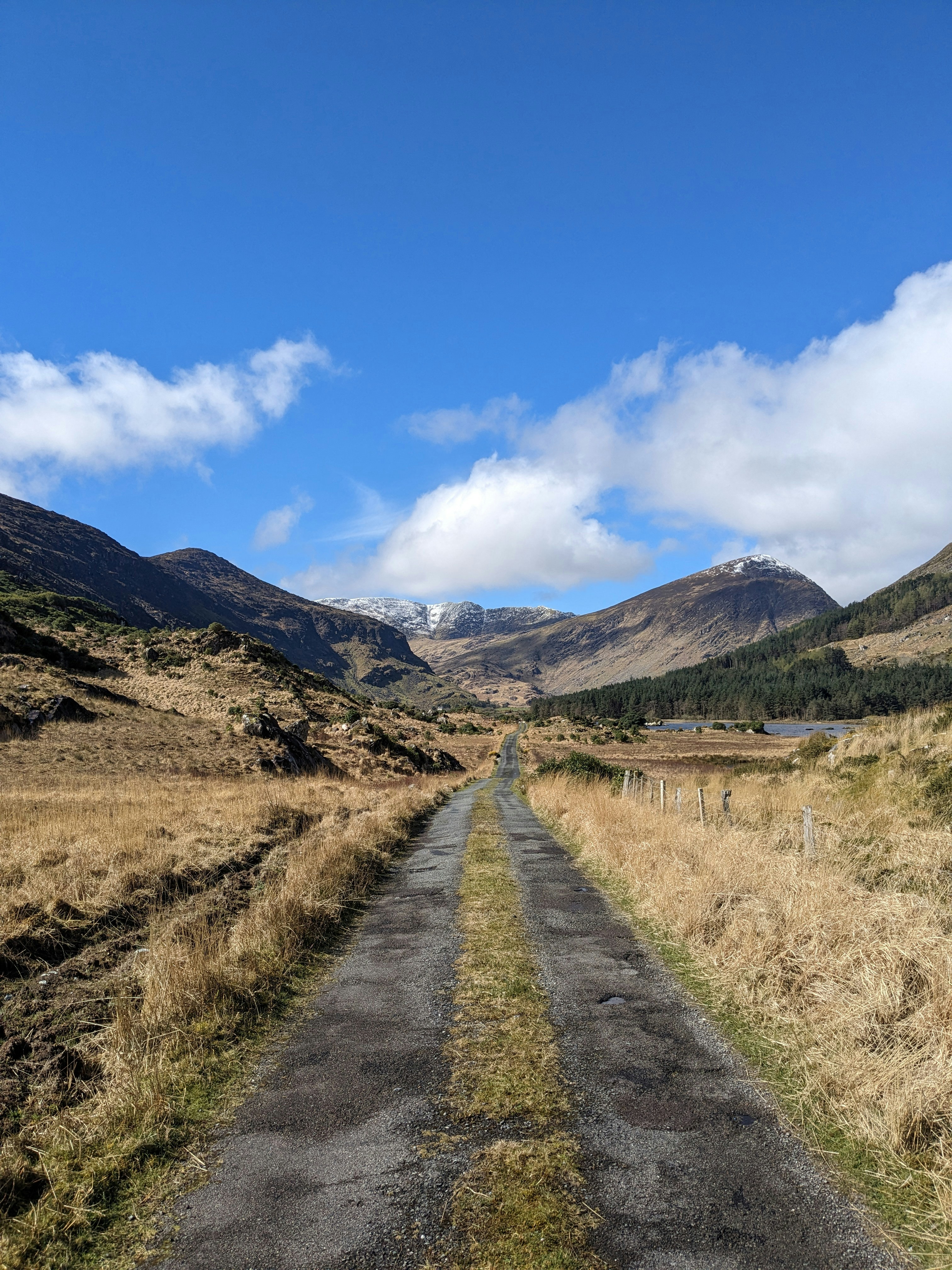 Una carretera en medio de un campo con montañas al fondo foto – Imagen ...