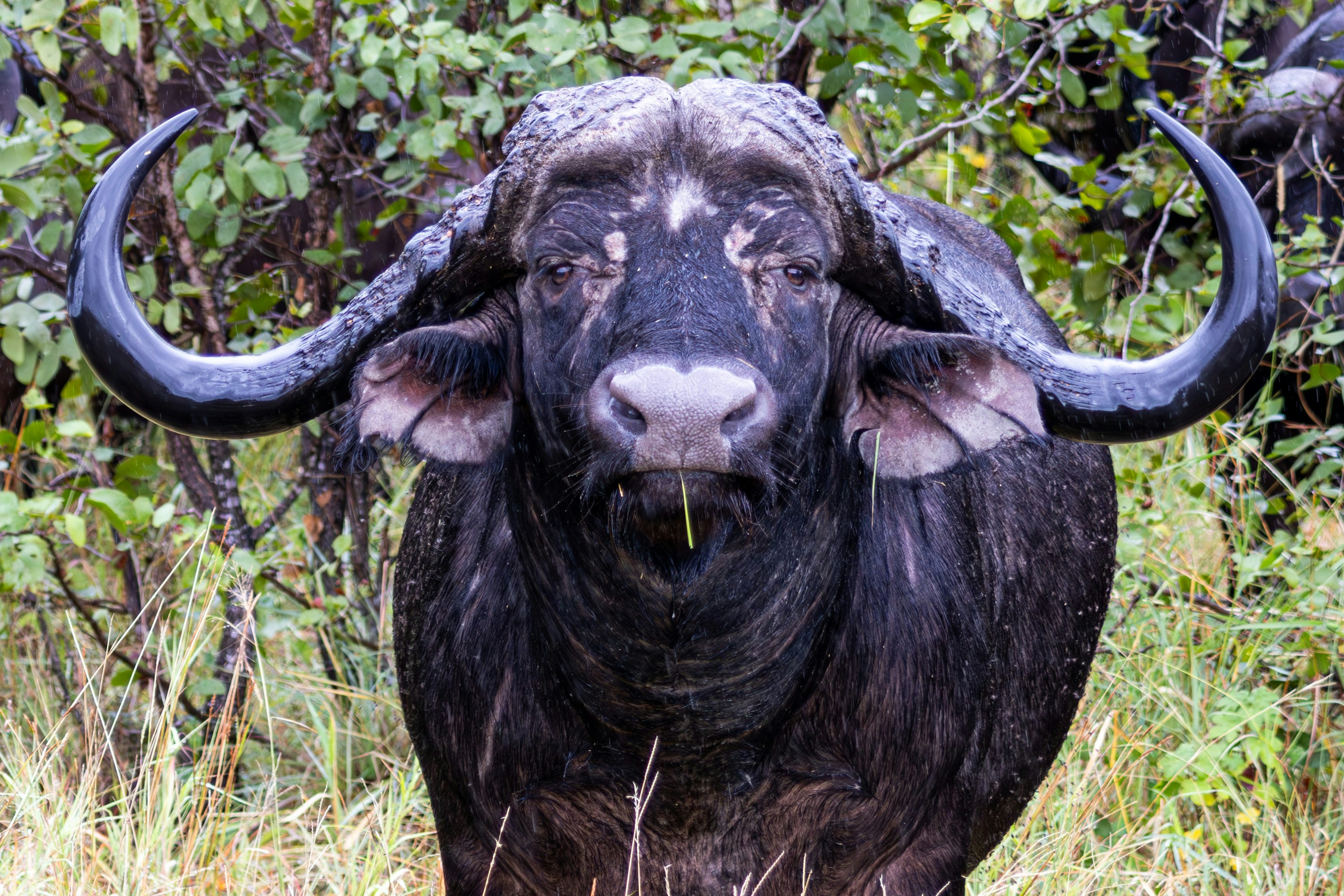 Photo by hendrikprinsza