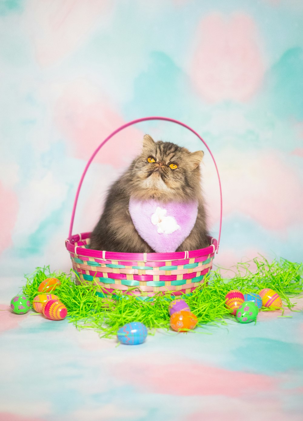 a cat sitting in a basket with a heart on it