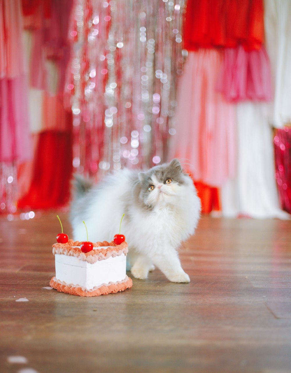 a cat standing next to a cake on a wooden floor