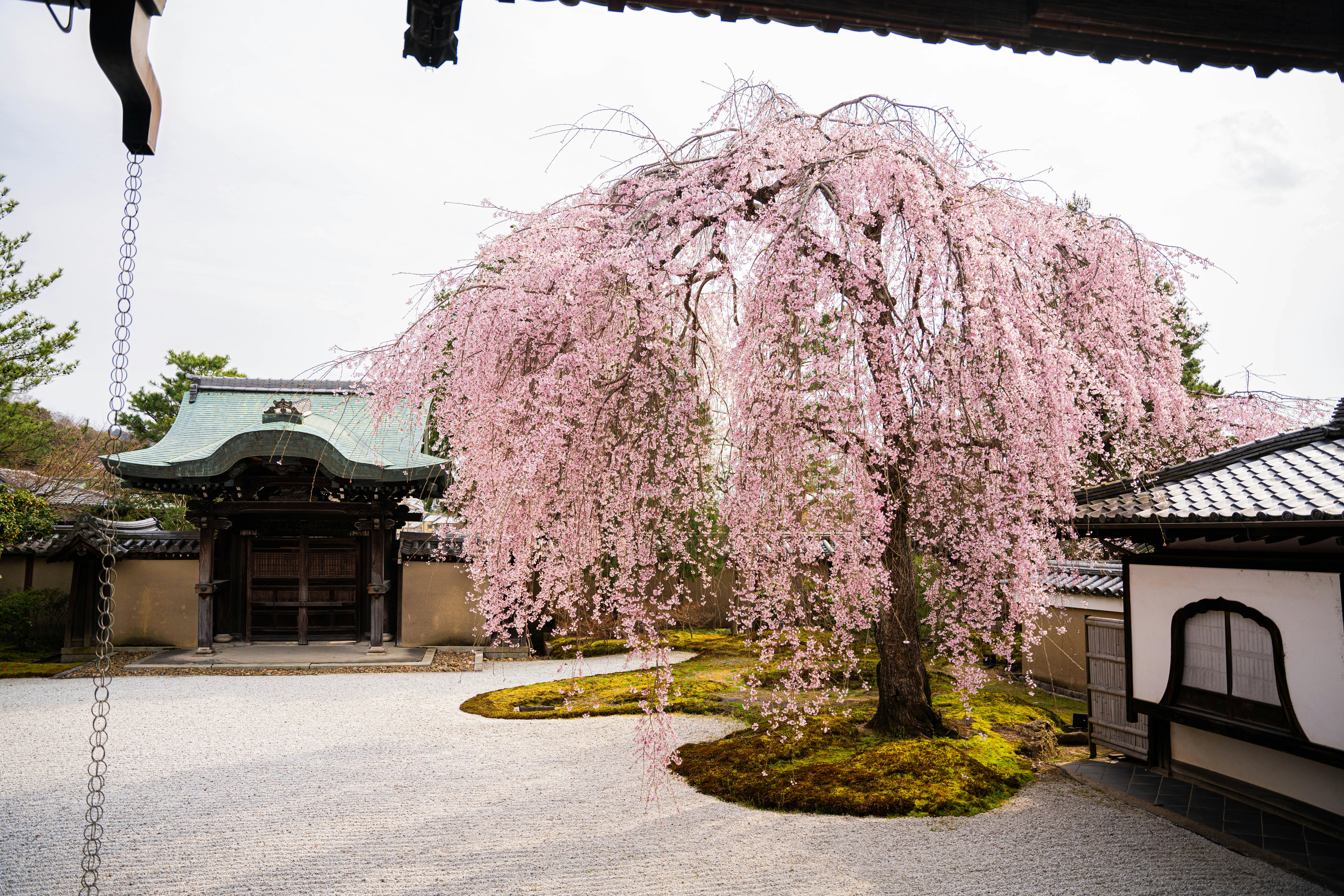 Photo by davidemrich