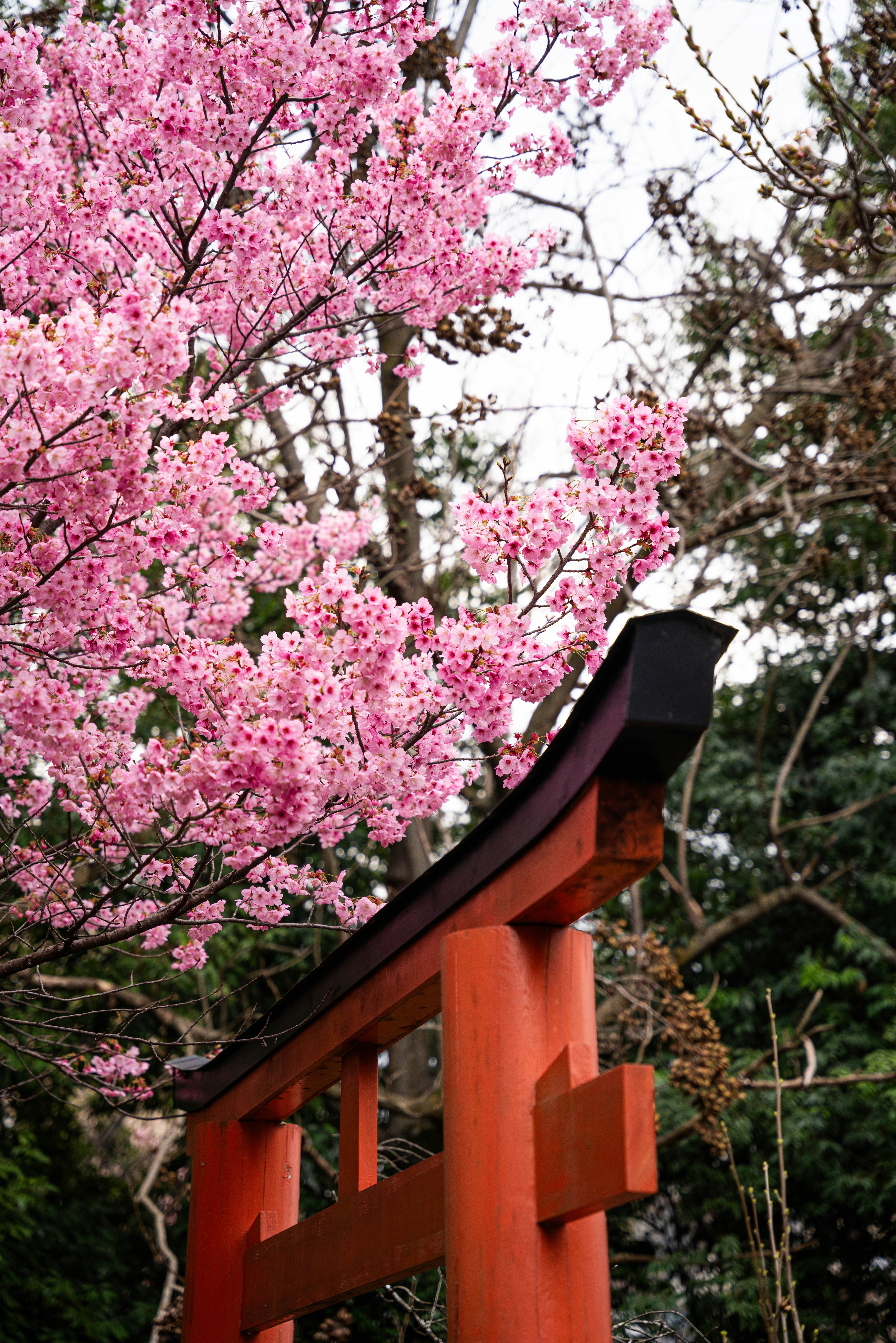 Photo by davidemrich