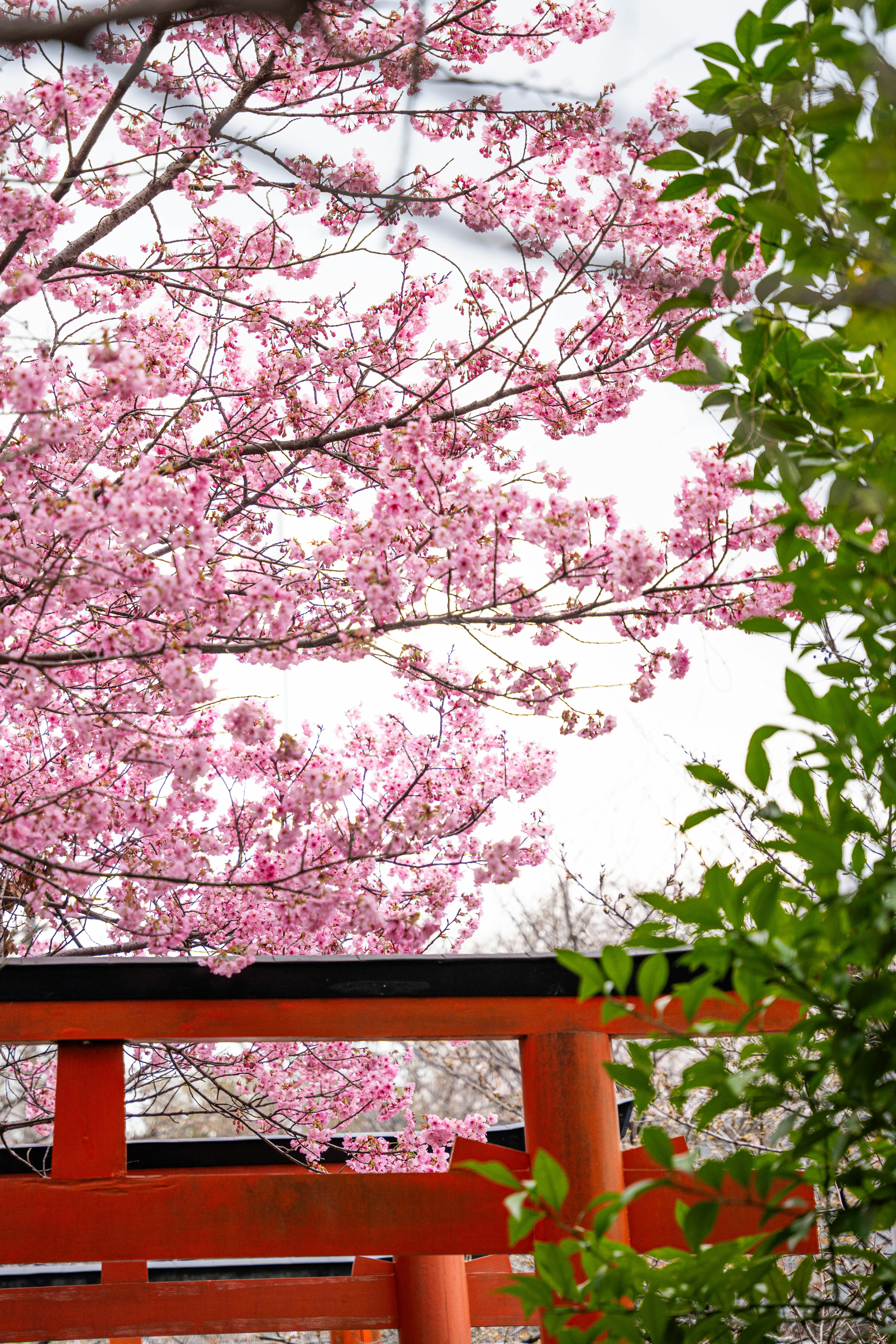 Photo by davidemrich