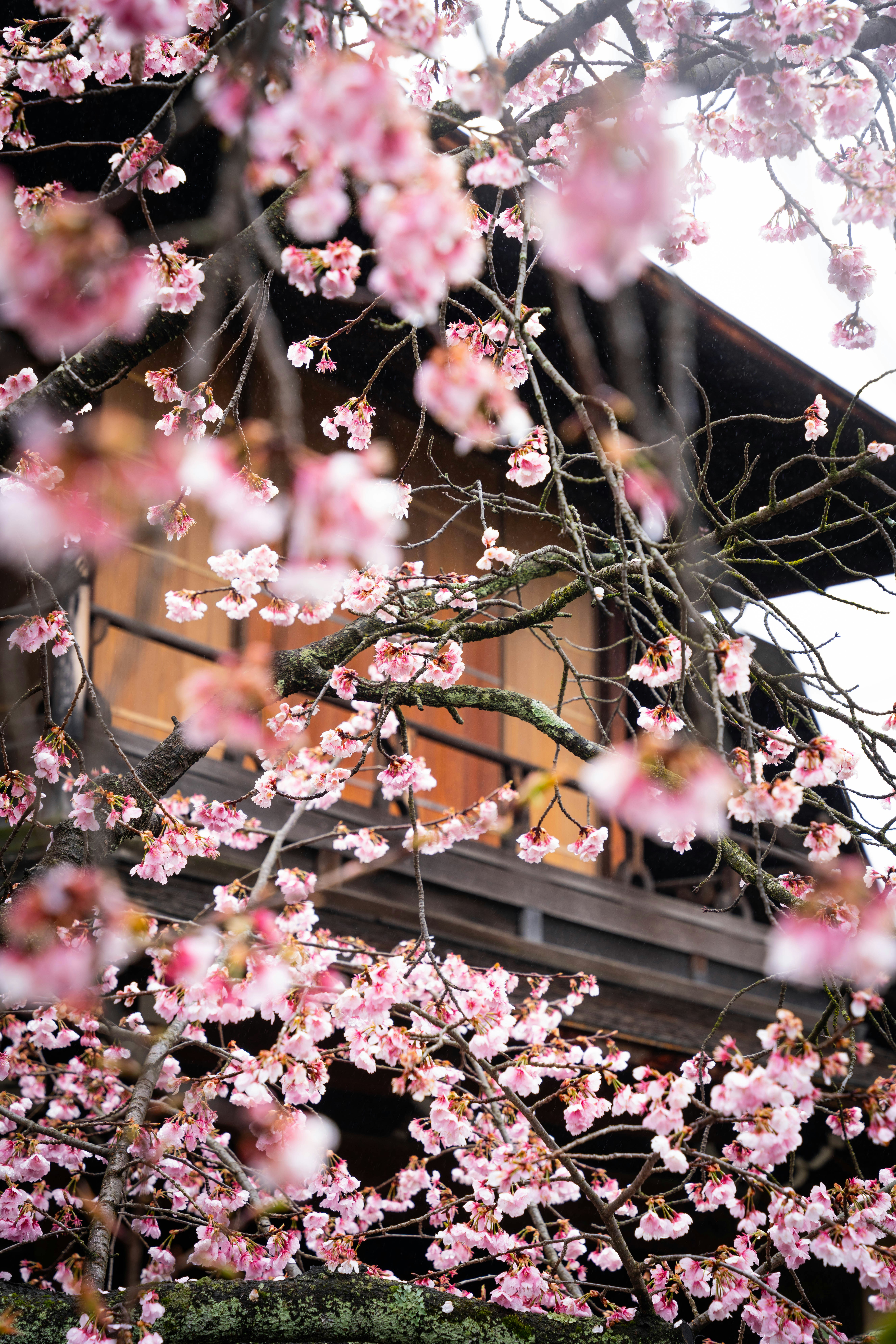 Photo by davidemrich