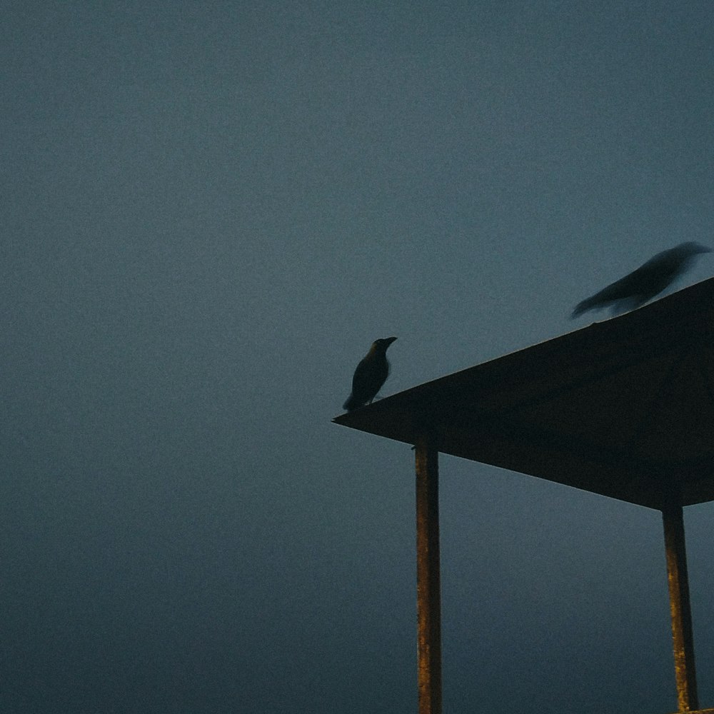 a bird sitting on top of a wooden structure