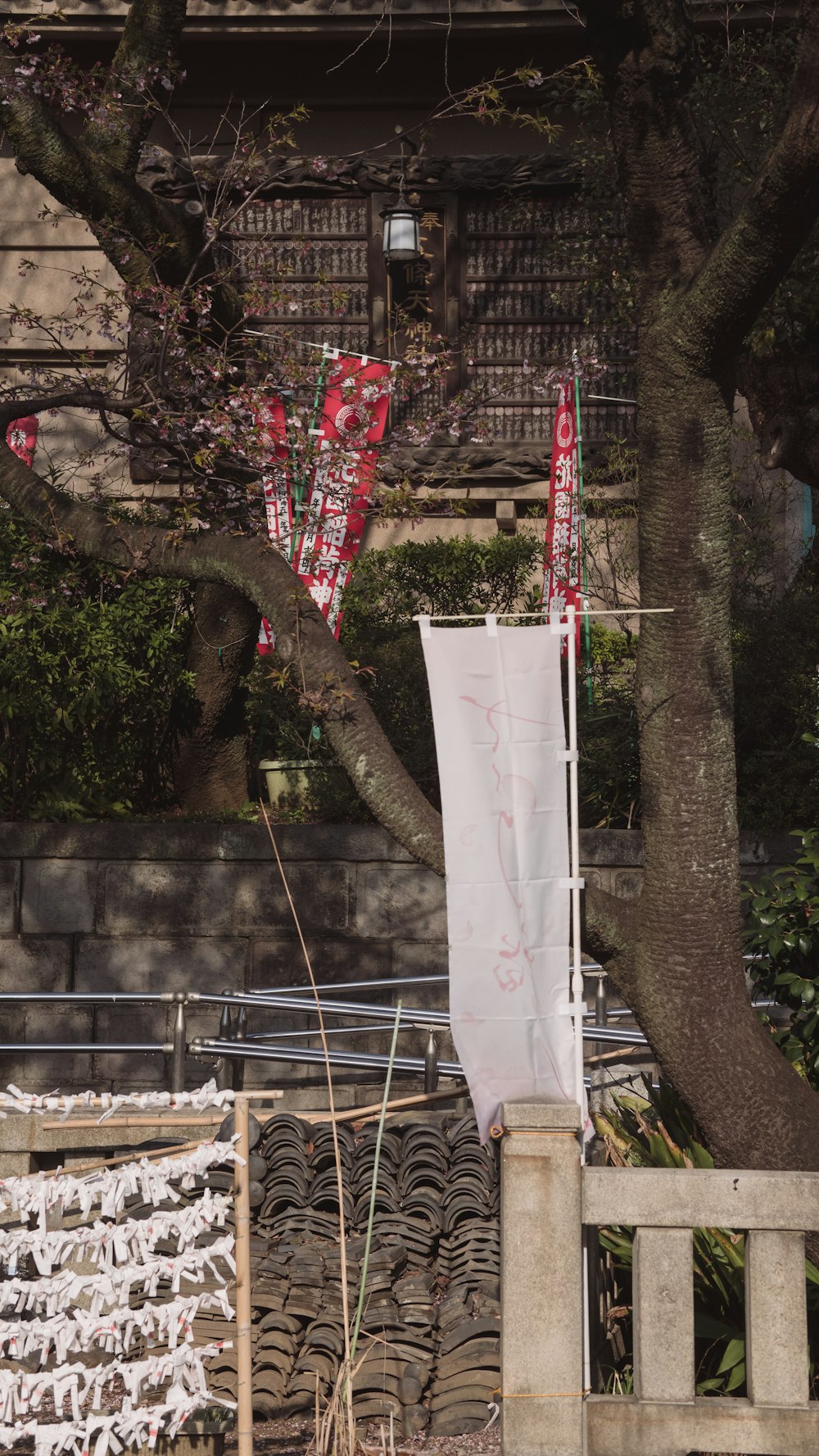 a tree with a bunch of kites hanging from it's branches