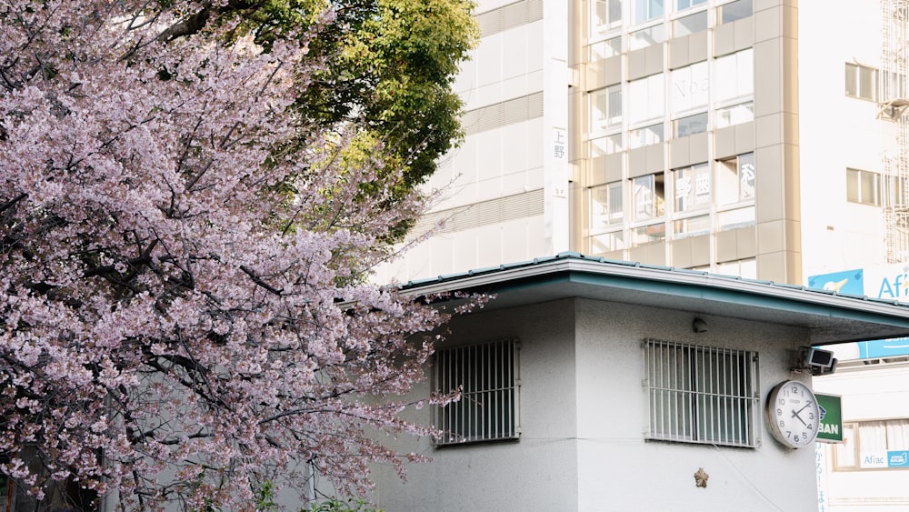 a clock on the side of a building next to a flowering tree