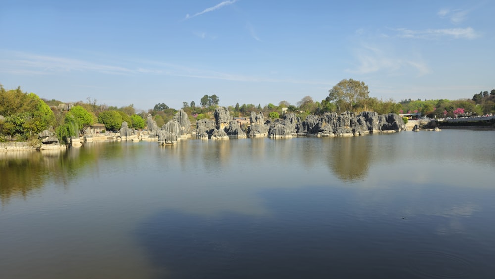 a body of water surrounded by trees and rocks