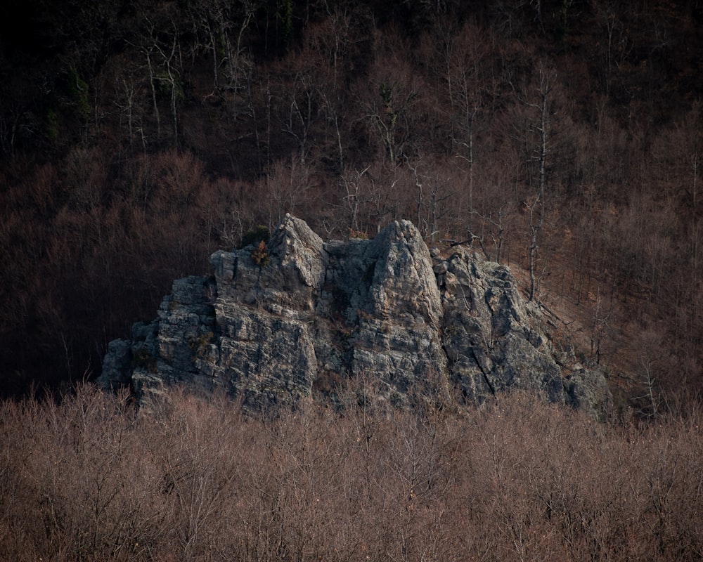 a rocky outcropping in the middle of a forest