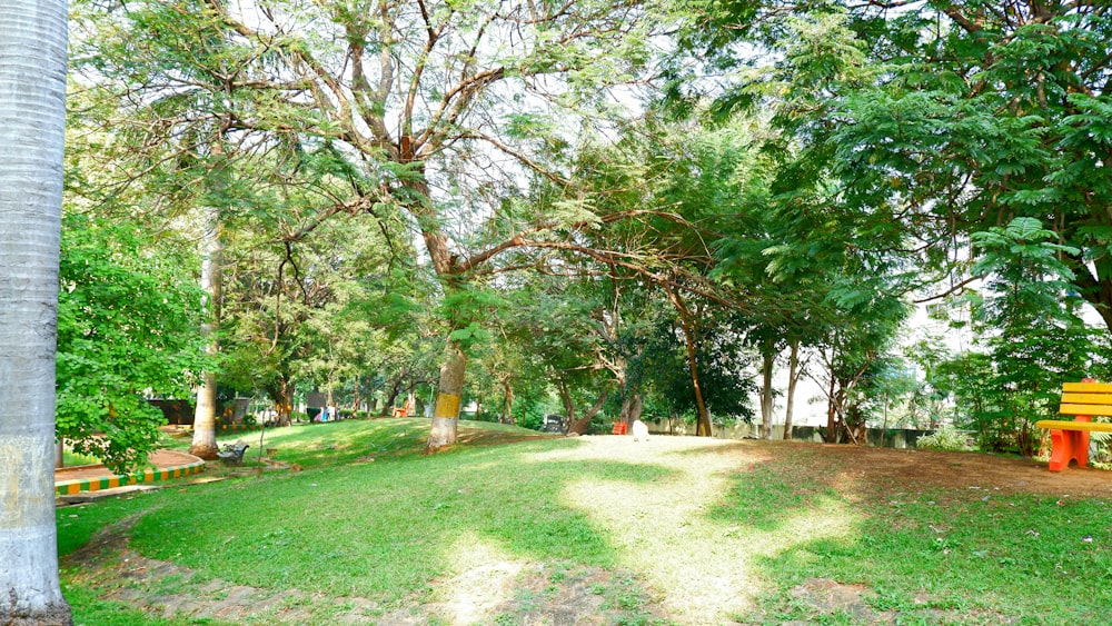 a park with a yellow bench surrounded by trees