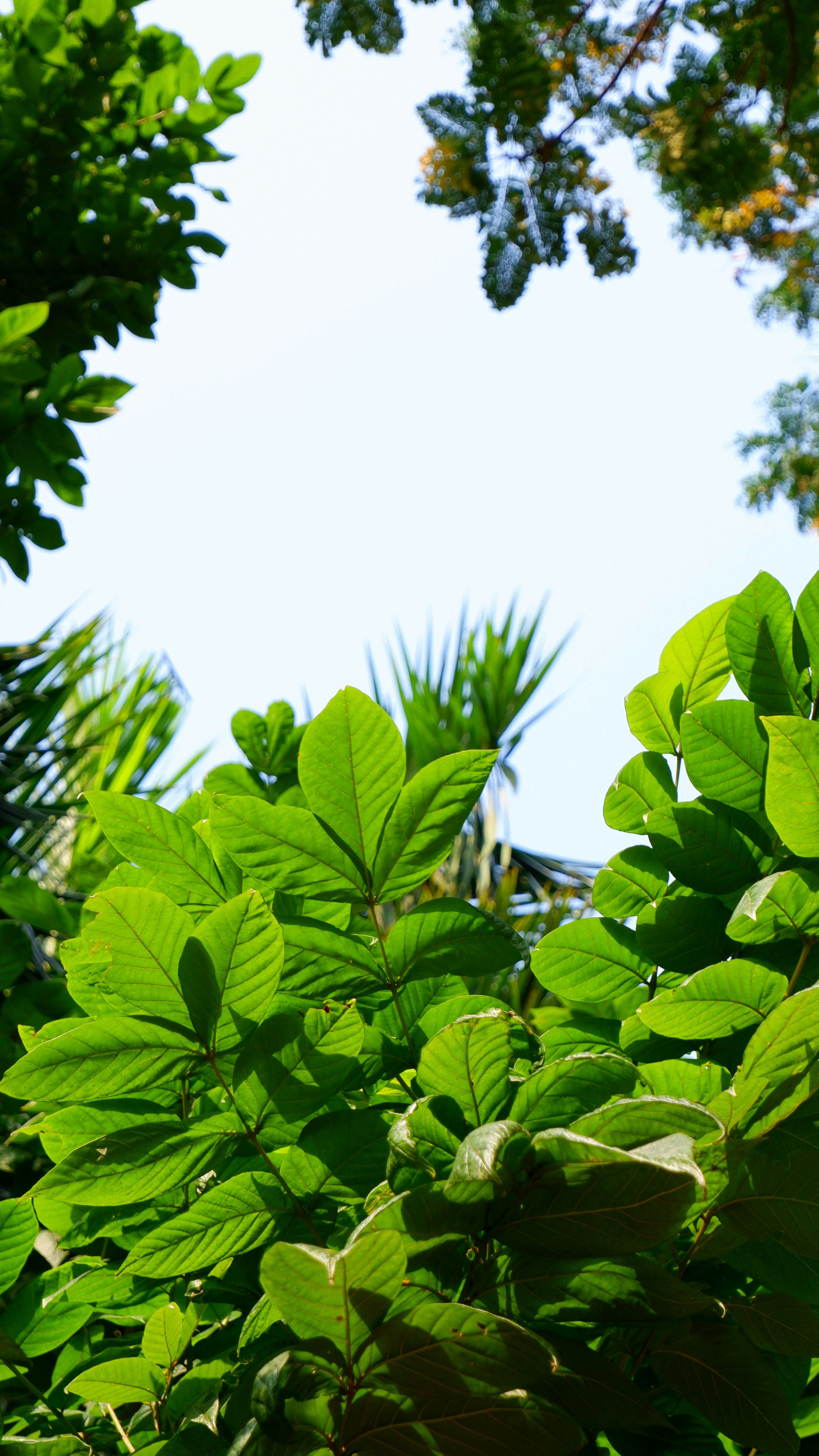 Photo by vizagexplore