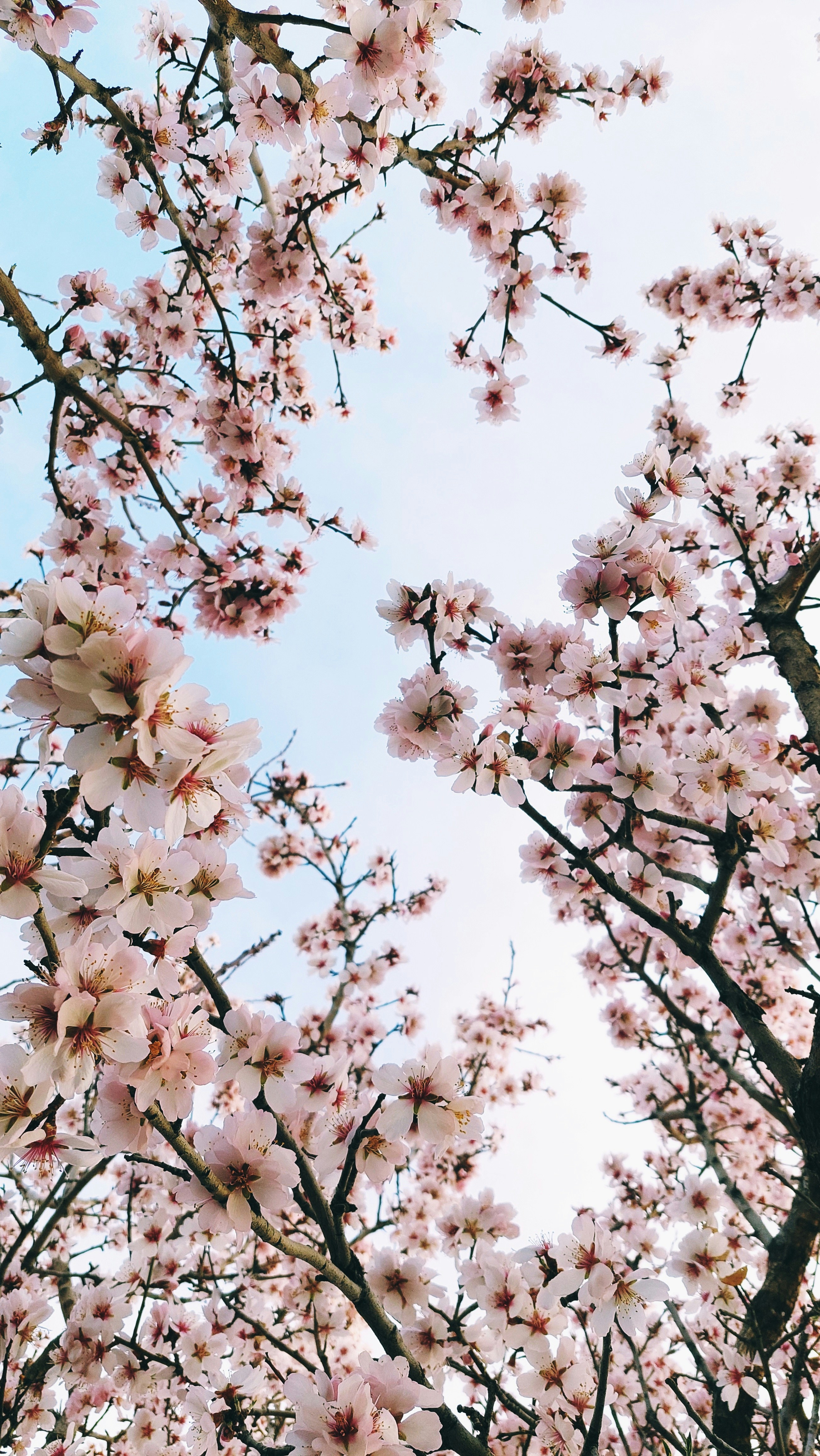 Photo by faezeh_oskuie