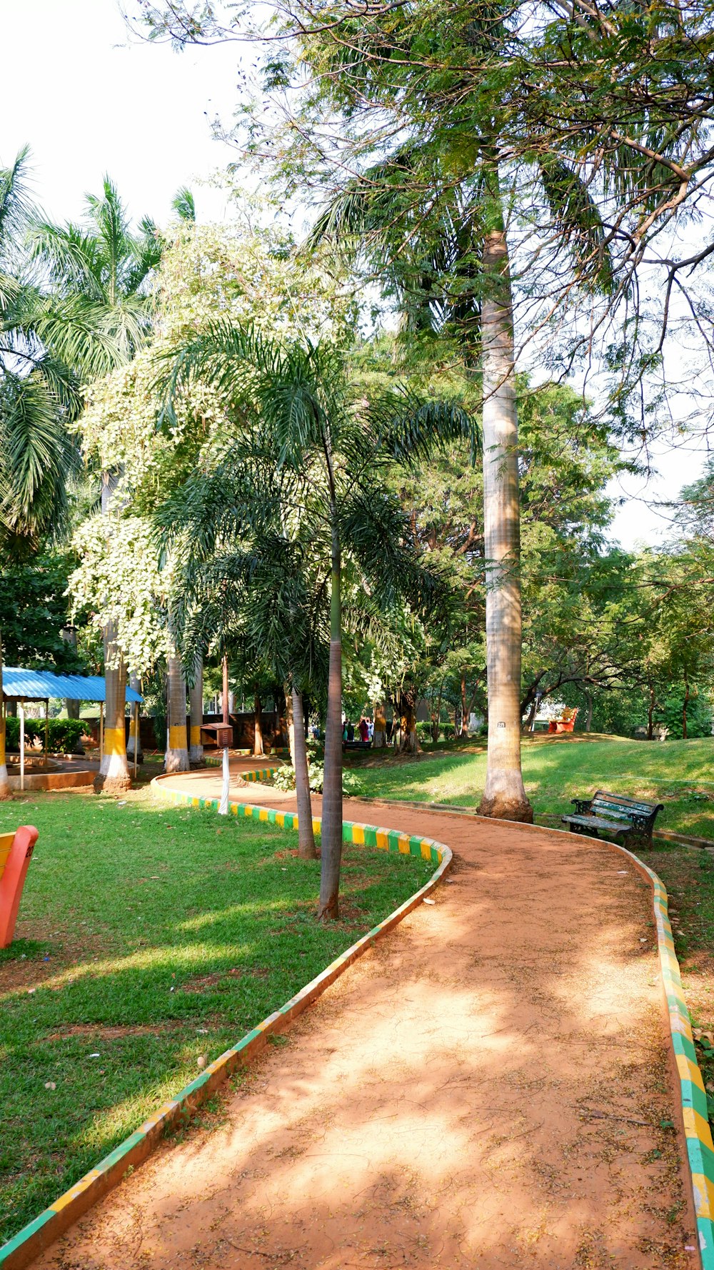a park with benches, trees, and a dirt path