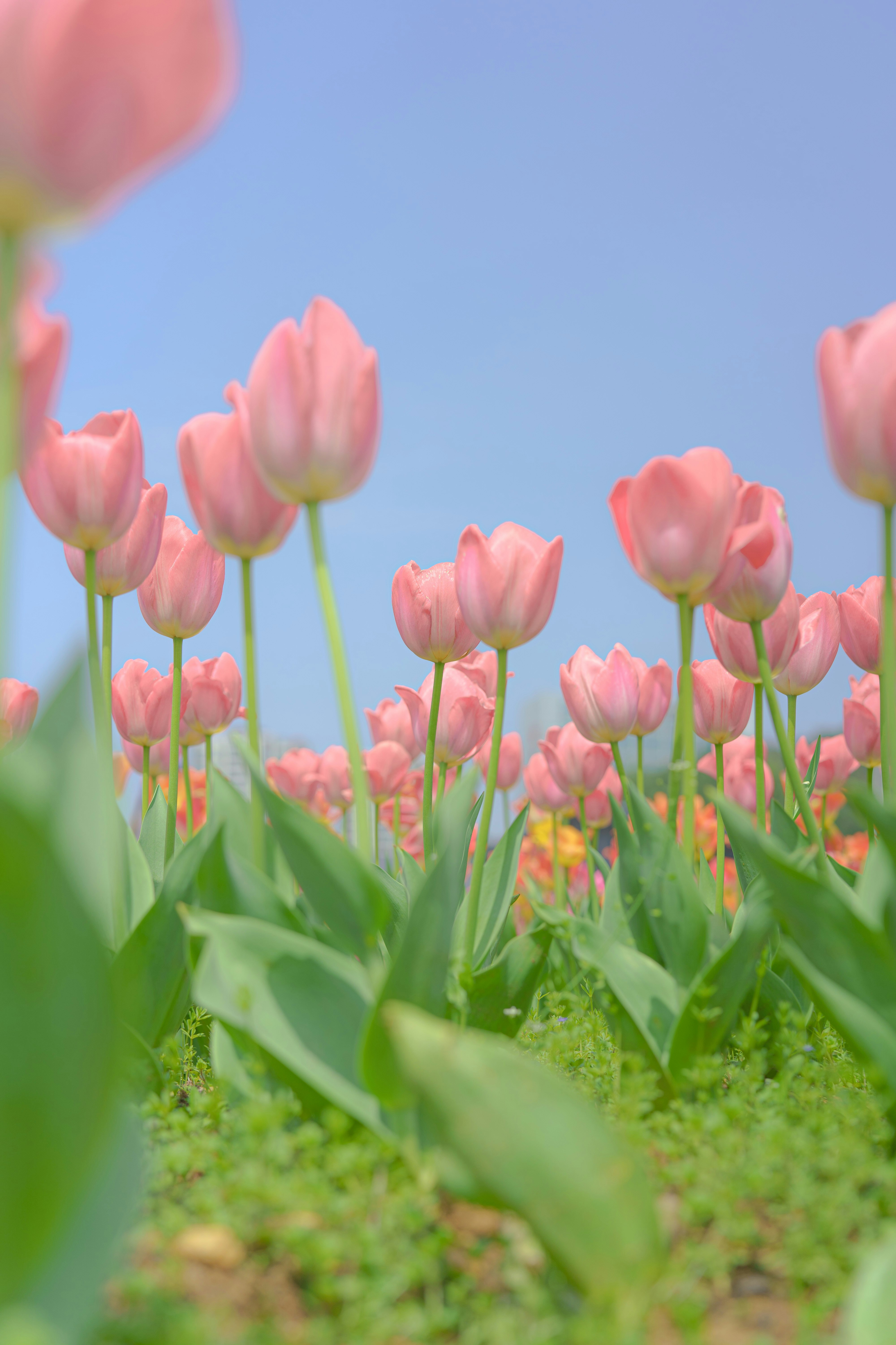 Photo by xiexianghua