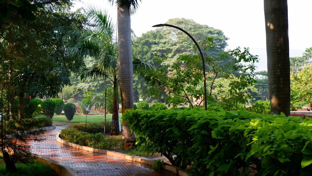 a pathway in a park with trees and bushes