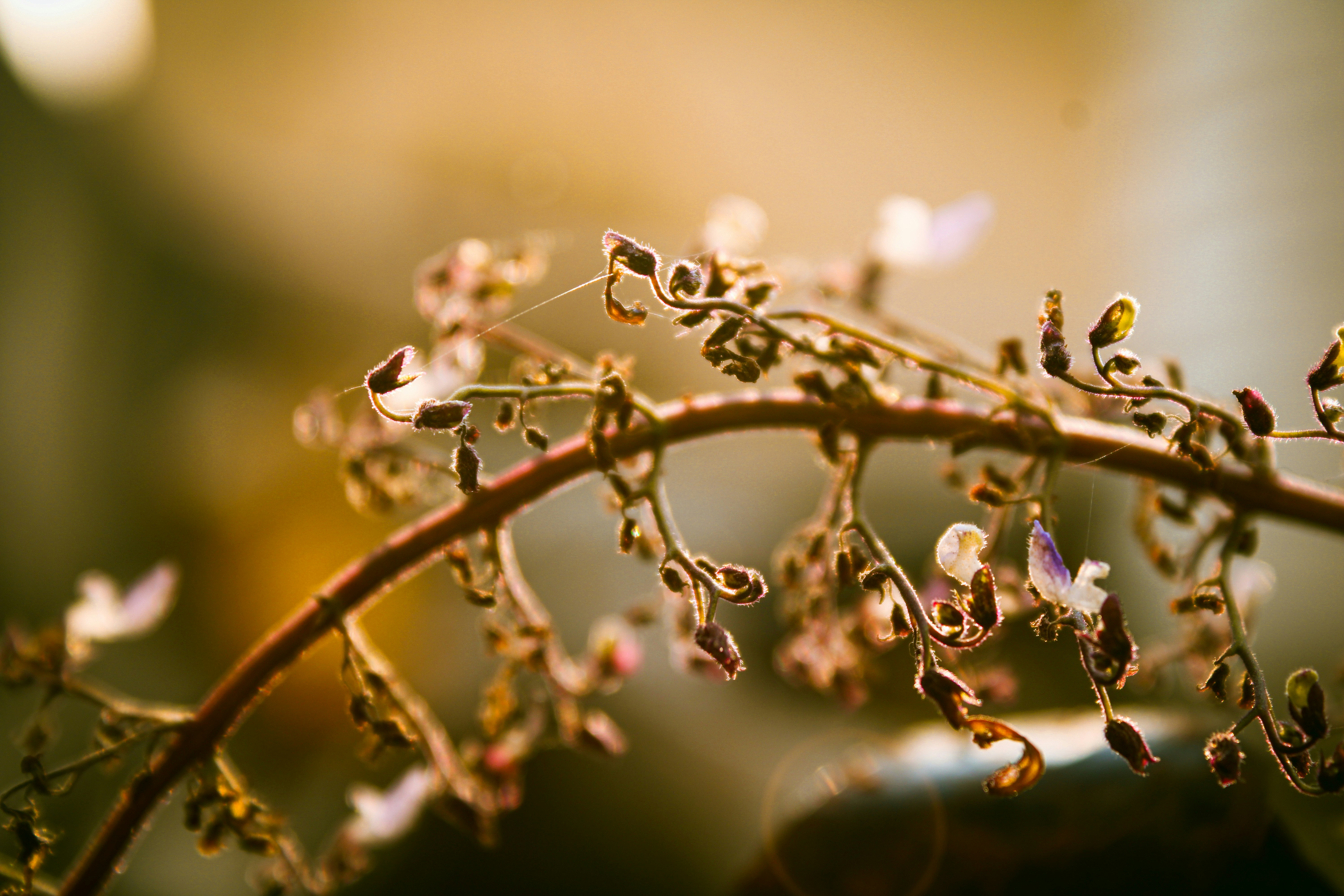 Photo by ebenezer_ebe