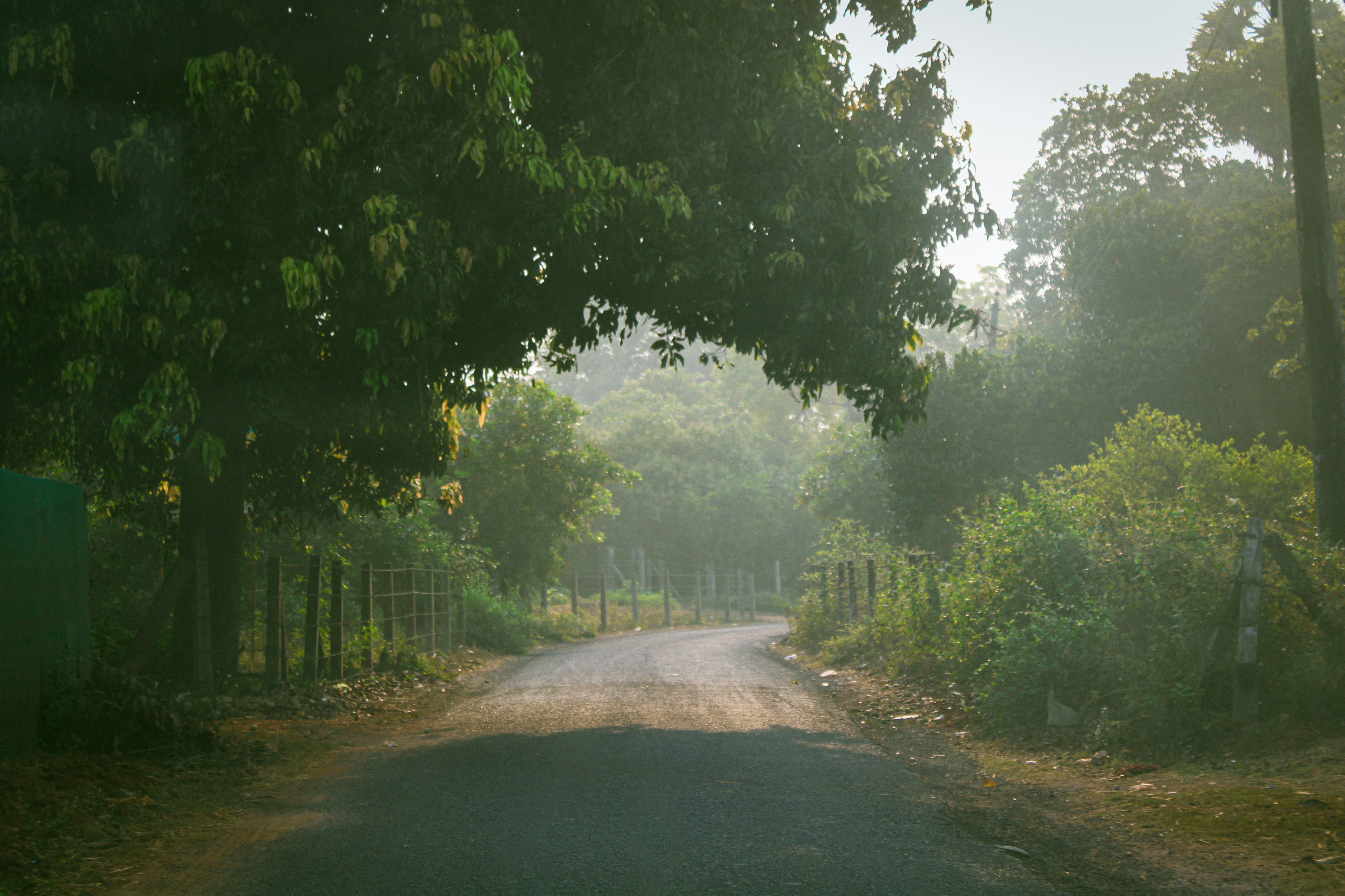 Photo by ebenezer_ebe