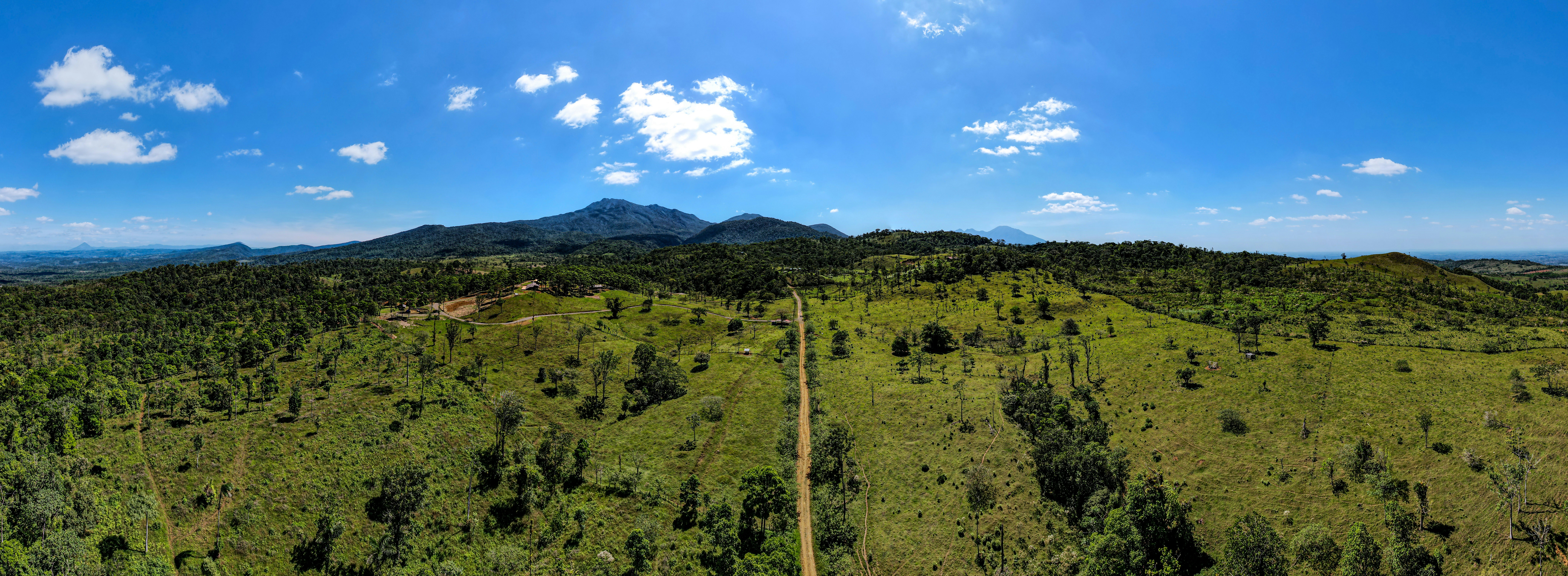 an aerial view of a forest with a mountain in the background