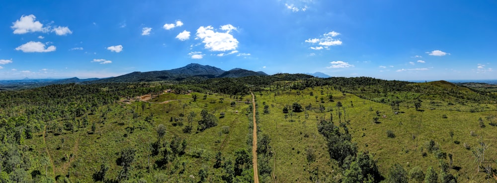 an aerial view of a forest with a mountain in the background