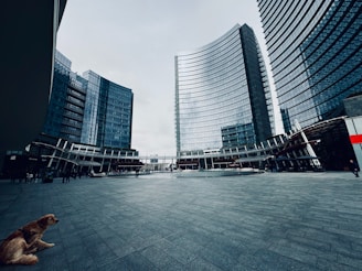 a dog sitting on the ground in front of a building