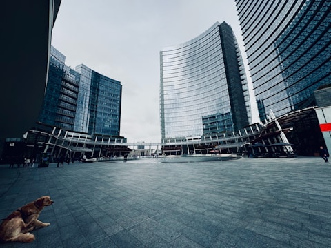 a dog sitting on the ground in front of a building