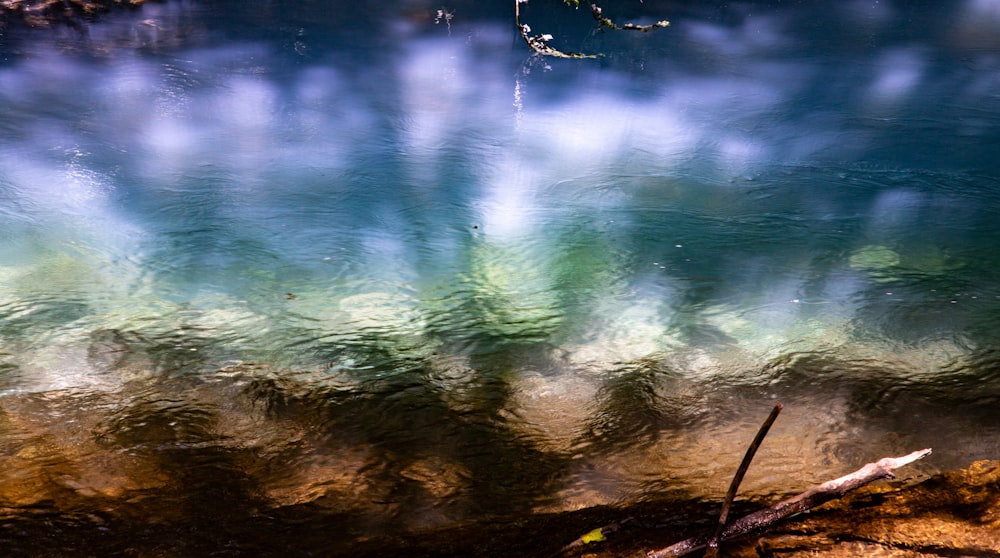 a body of water with a tree branch in the foreground