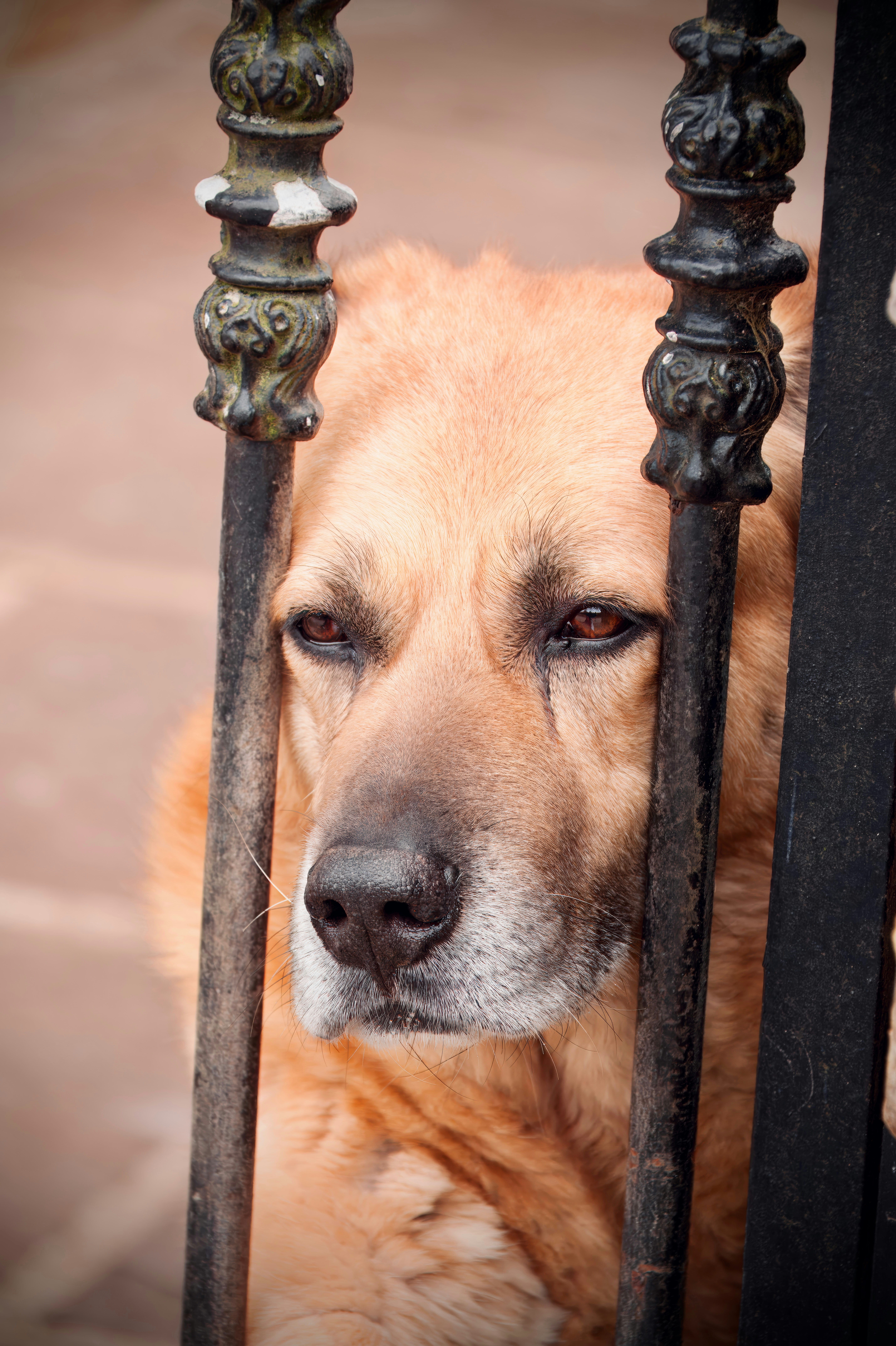 Photo by pablo_saancheezz